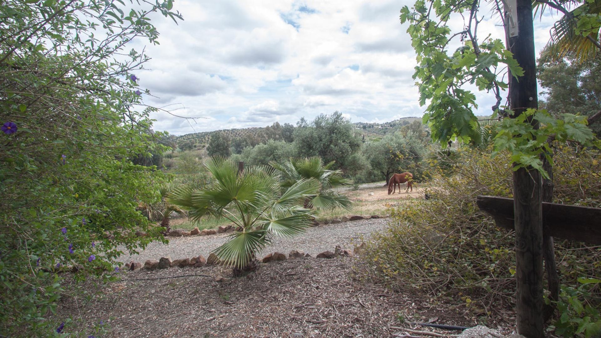 жилой дом в Coín, Andalucía 10738399