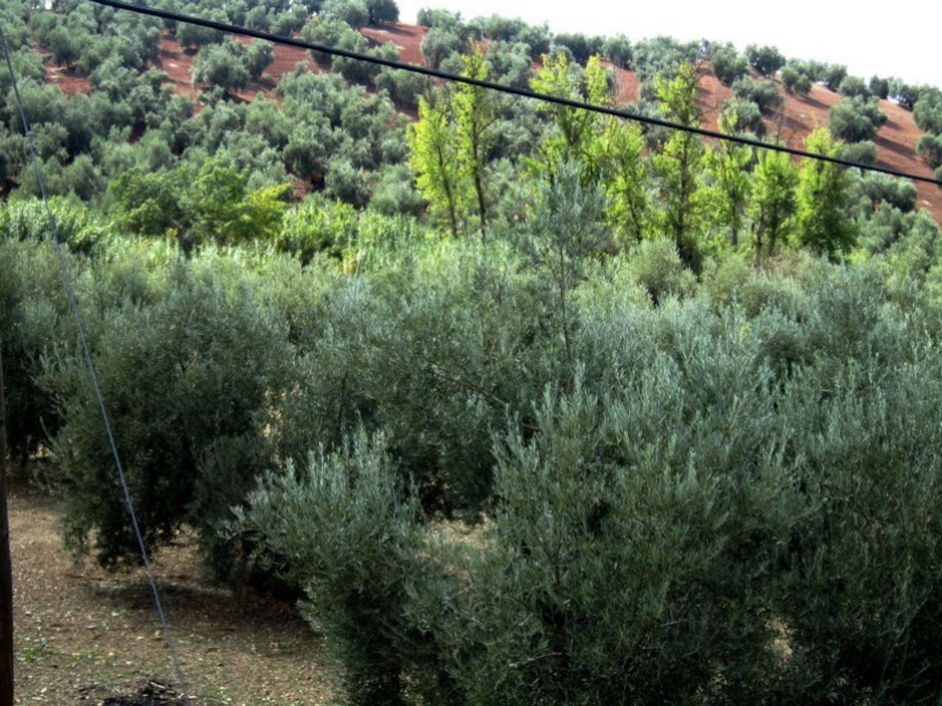 Talo sisään Villanueva de Algaidas, Andalucía 10738414