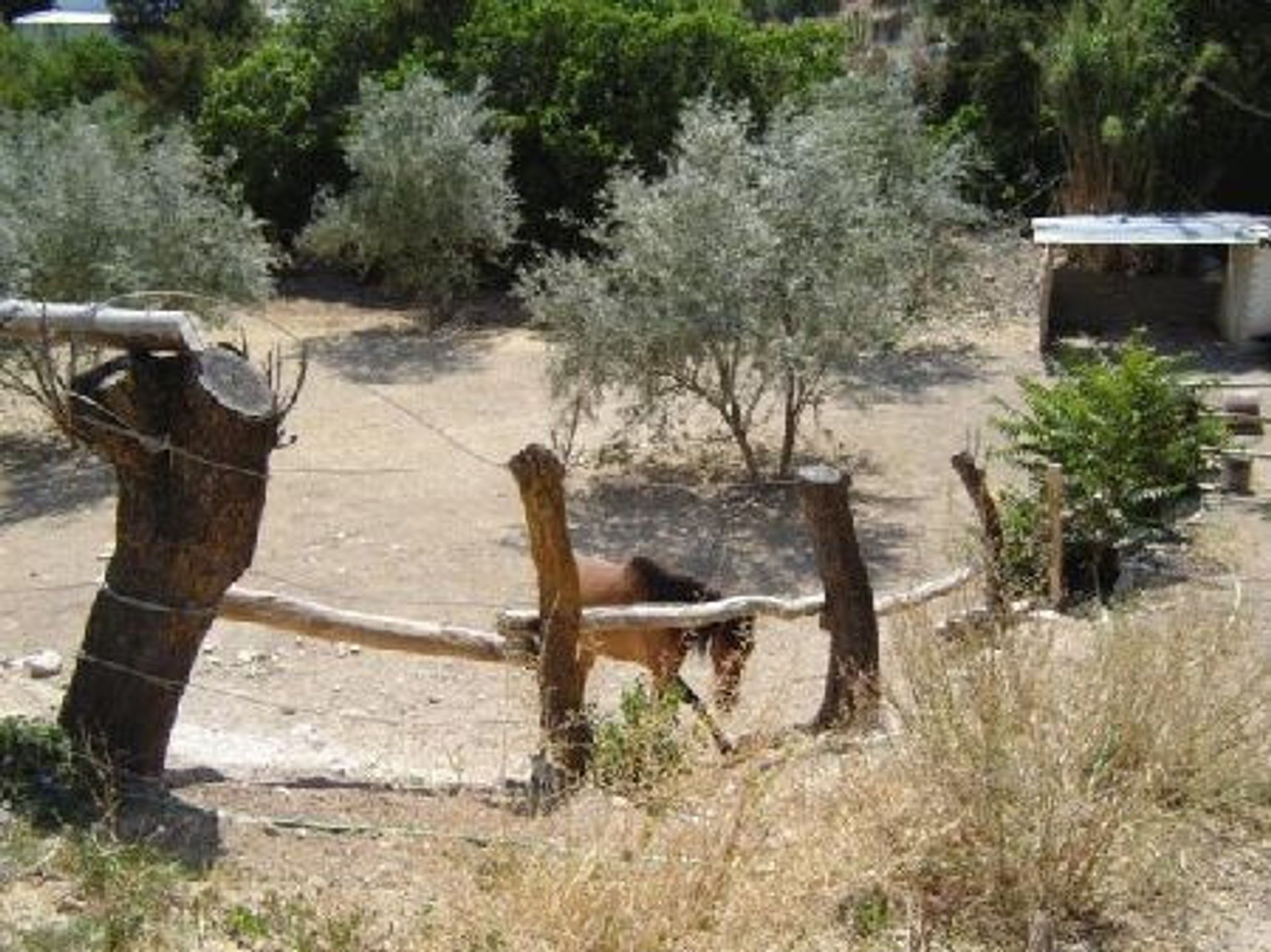 Talo sisään Villanueva de Algaidas, Andalucía 10738414