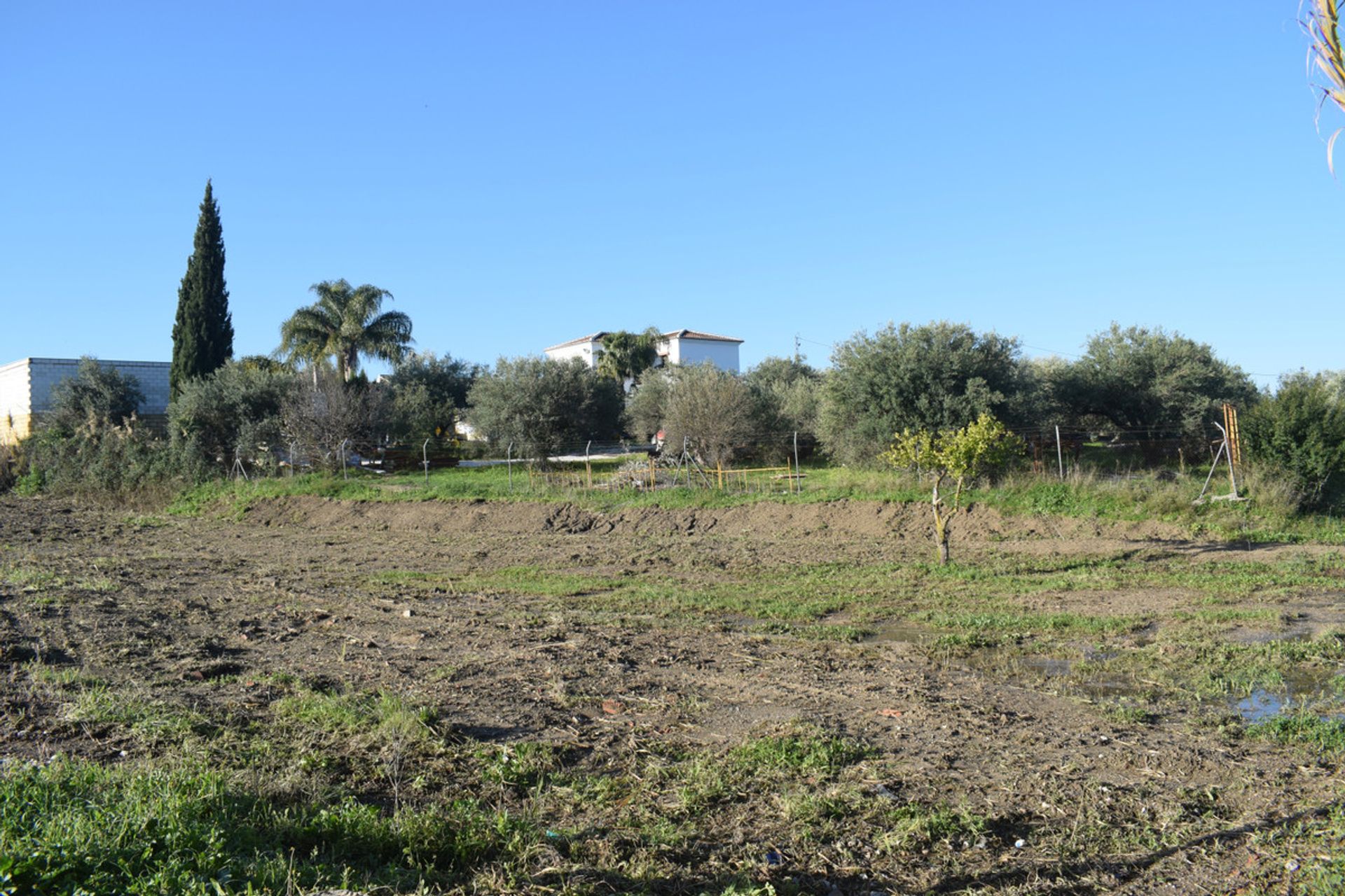 Tierra en Alhaurín el Grande, Andalucía 10738443