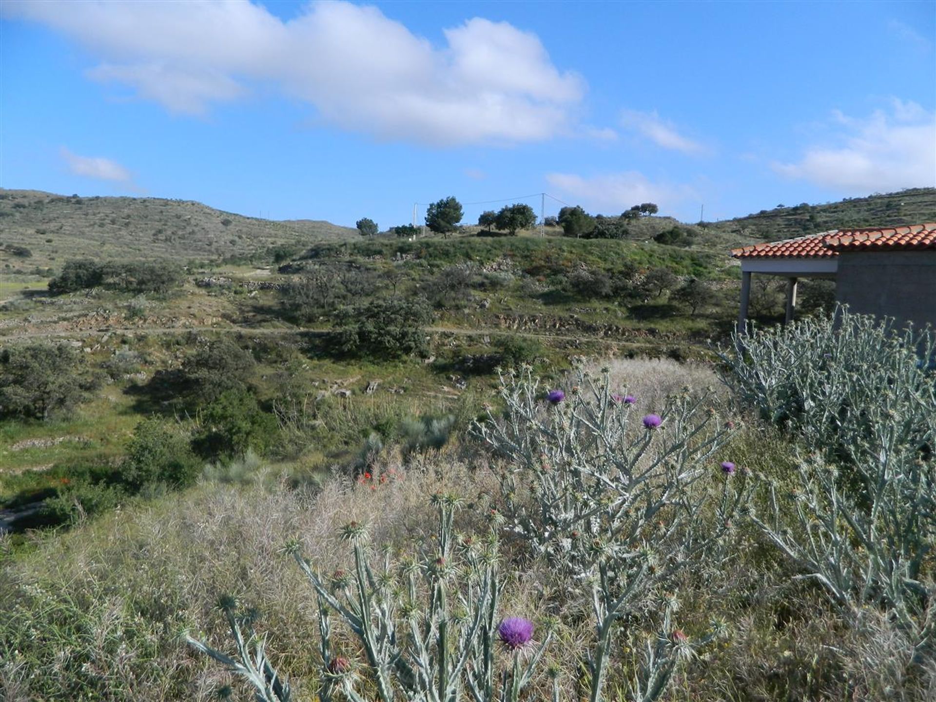 Haus im Benizalón, Andalucía 10738547