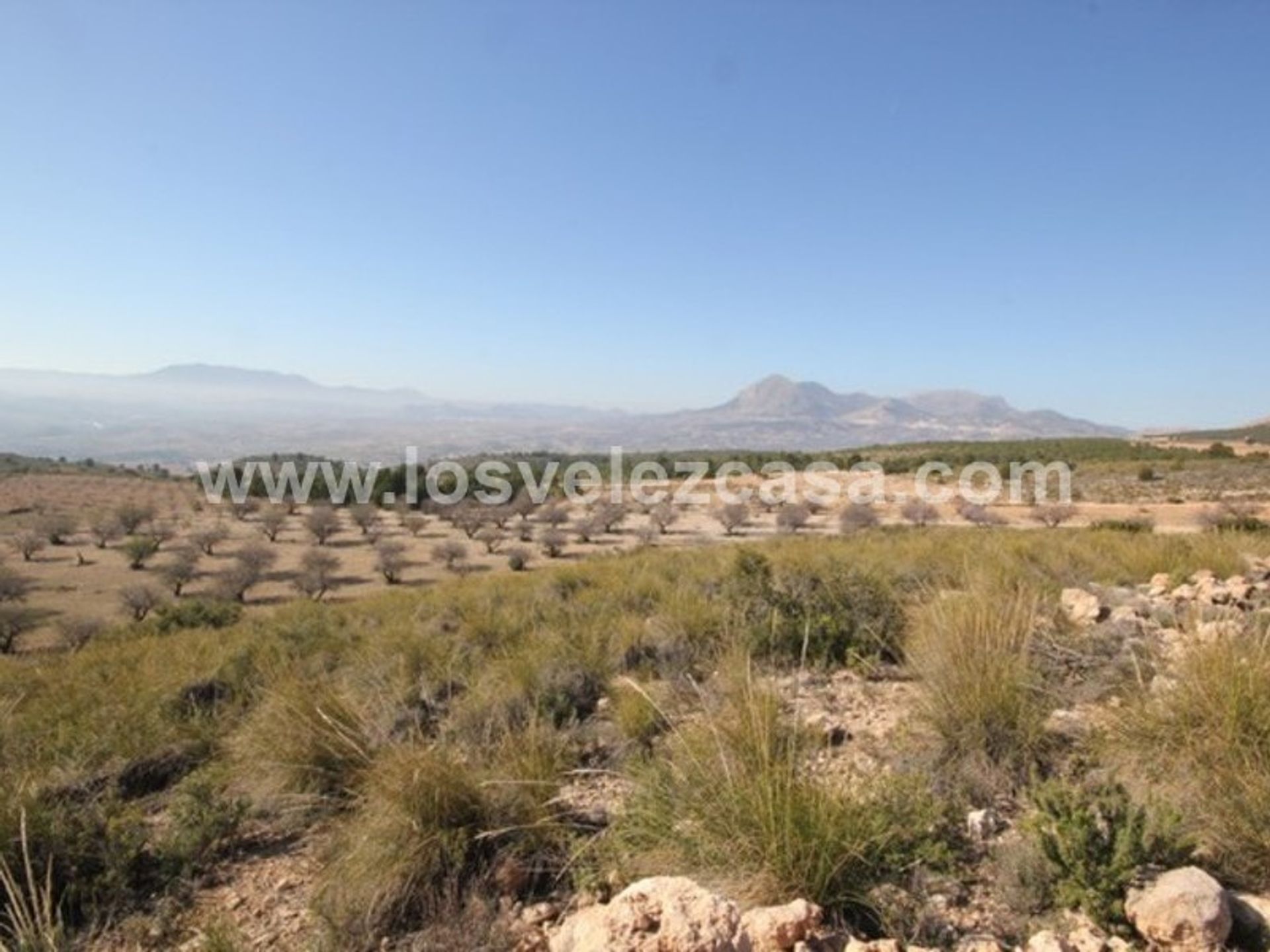 Land in Vélez-Blanco, Andalucía 10738692