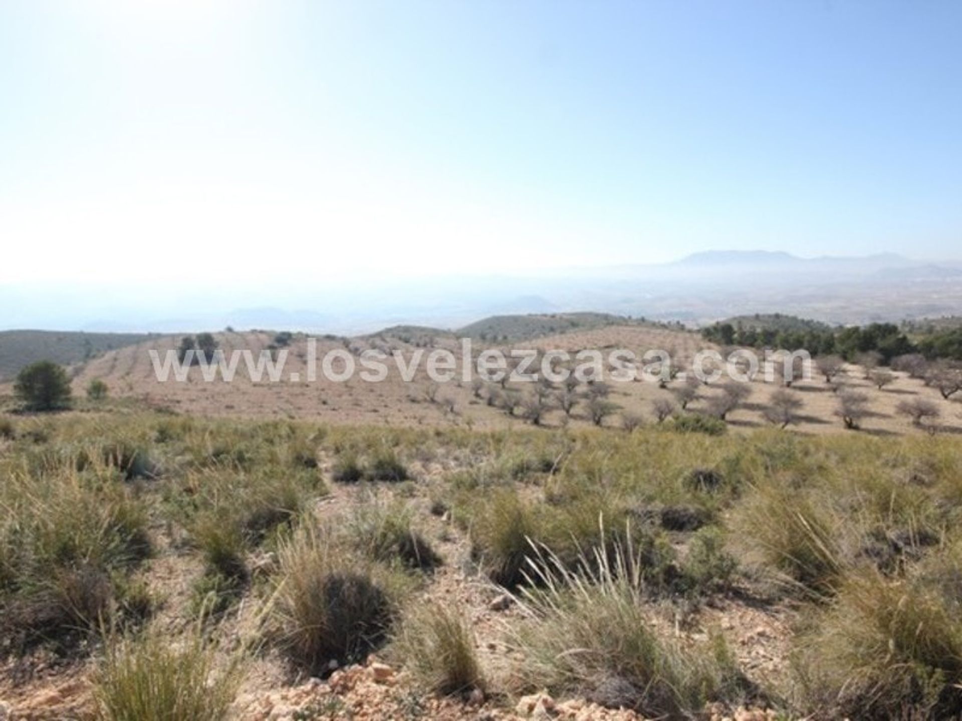 Land in Velez Blanco, Andalusia 10738692