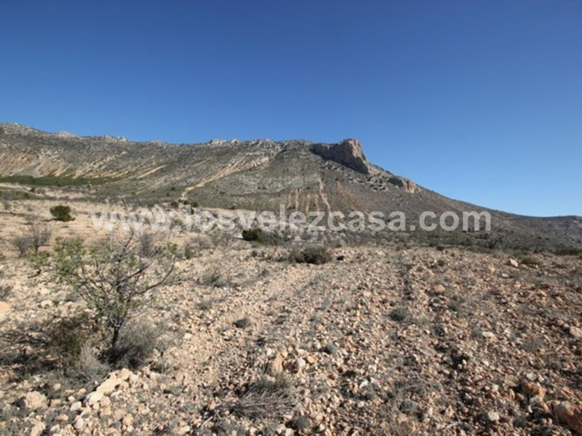 Land in Velez Blanco, Andalusia 10738692