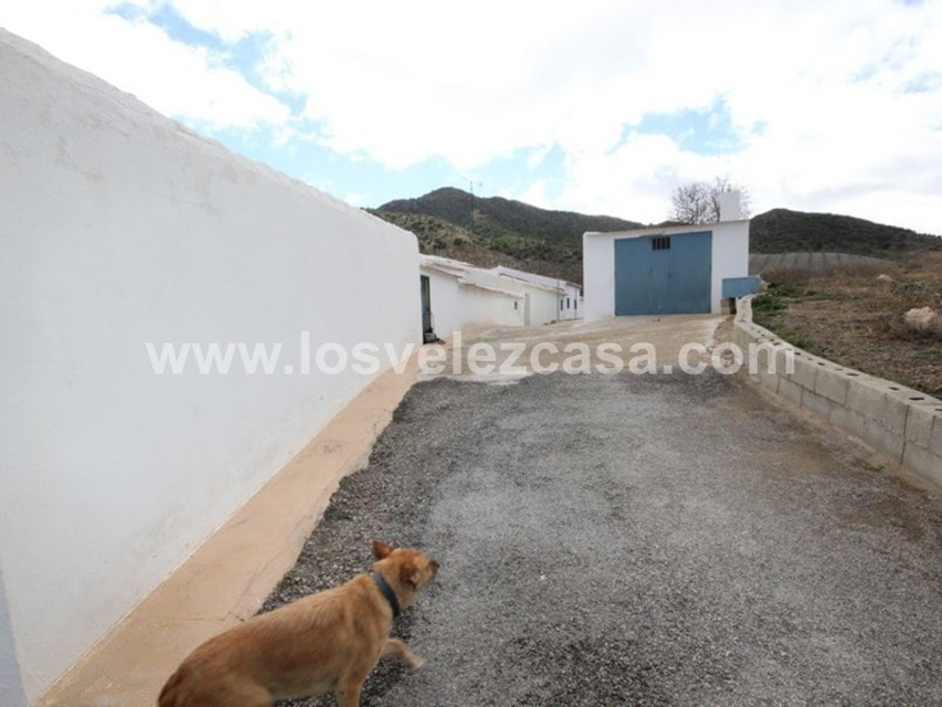 casa no Vélez-Rubio, Andalucía 10738707