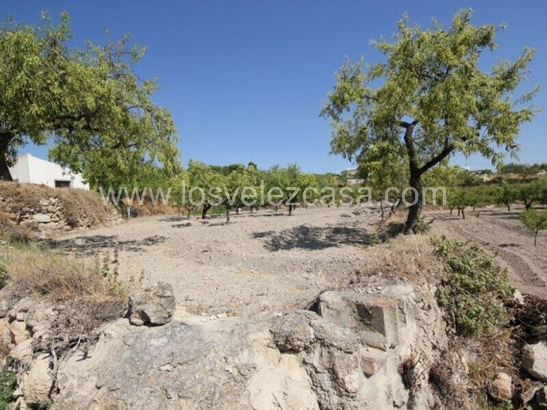 Tierra en Vélez-Blanco, Andalucía 10738723