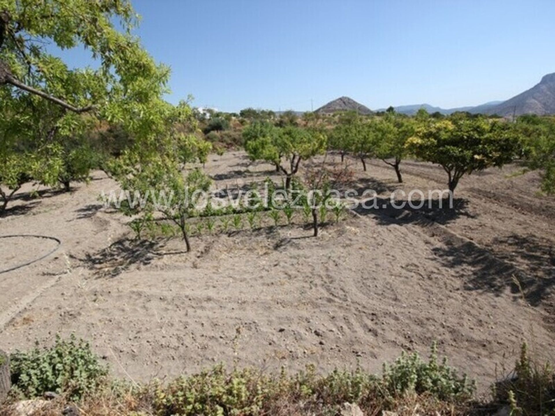 Tierra en Vélez-Blanco, Andalucía 10738723