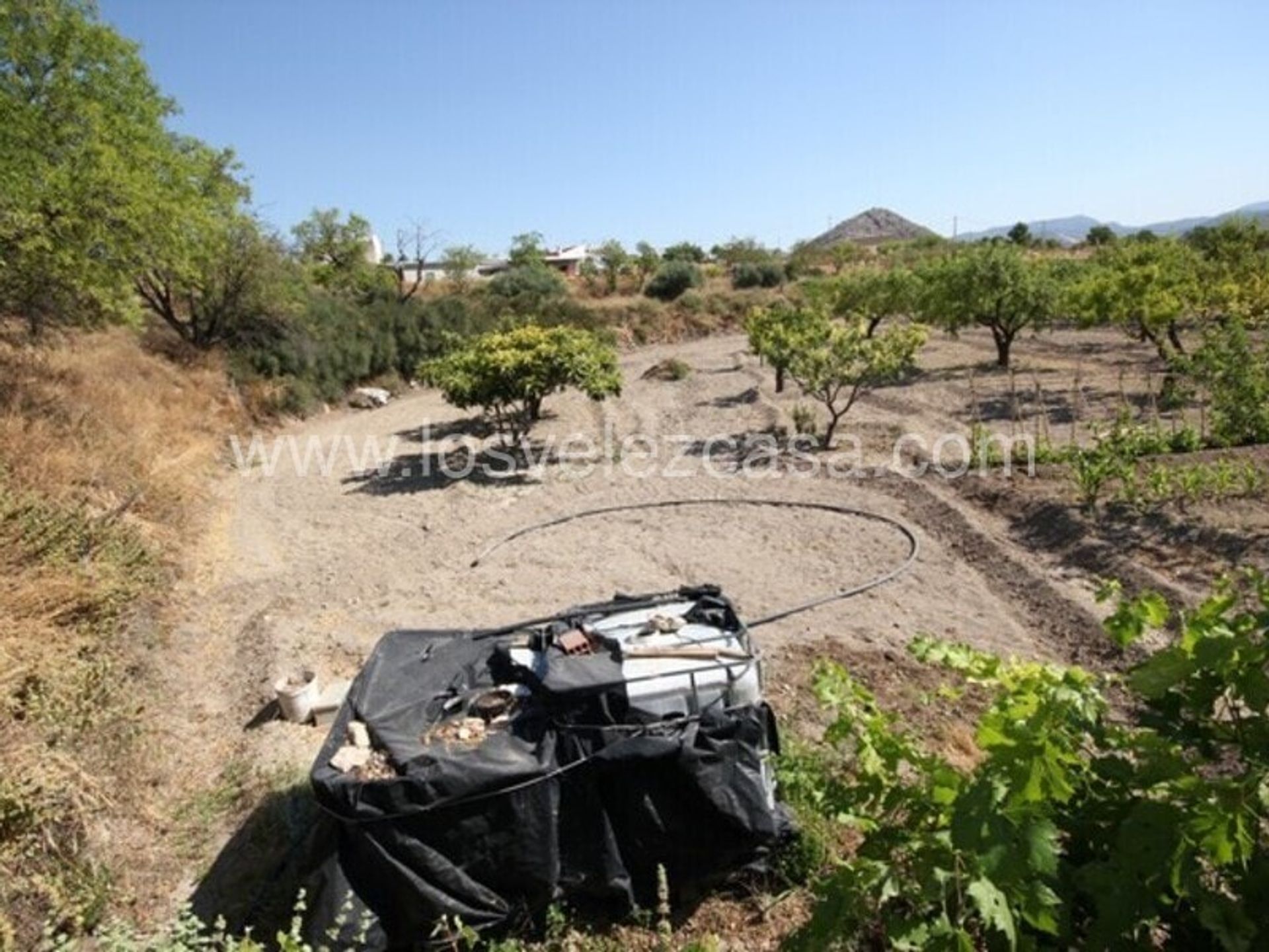 Tierra en Vélez-Blanco, Andalucía 10738723