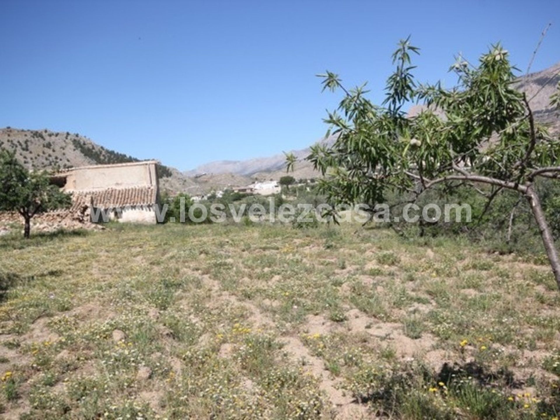 Casa nel Vélez-Rubio, Andalucía 10738727