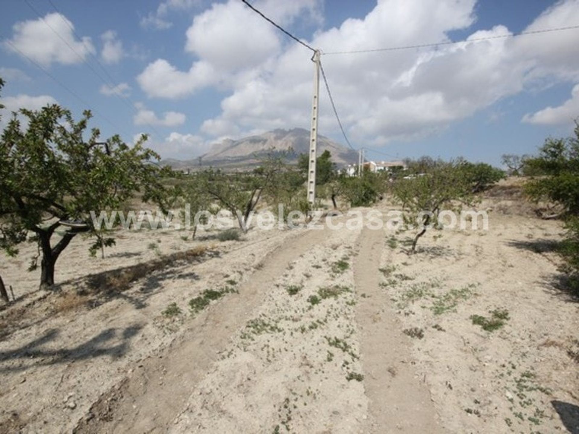 Tierra en Vélez-Rubio, Andalucía 10738737