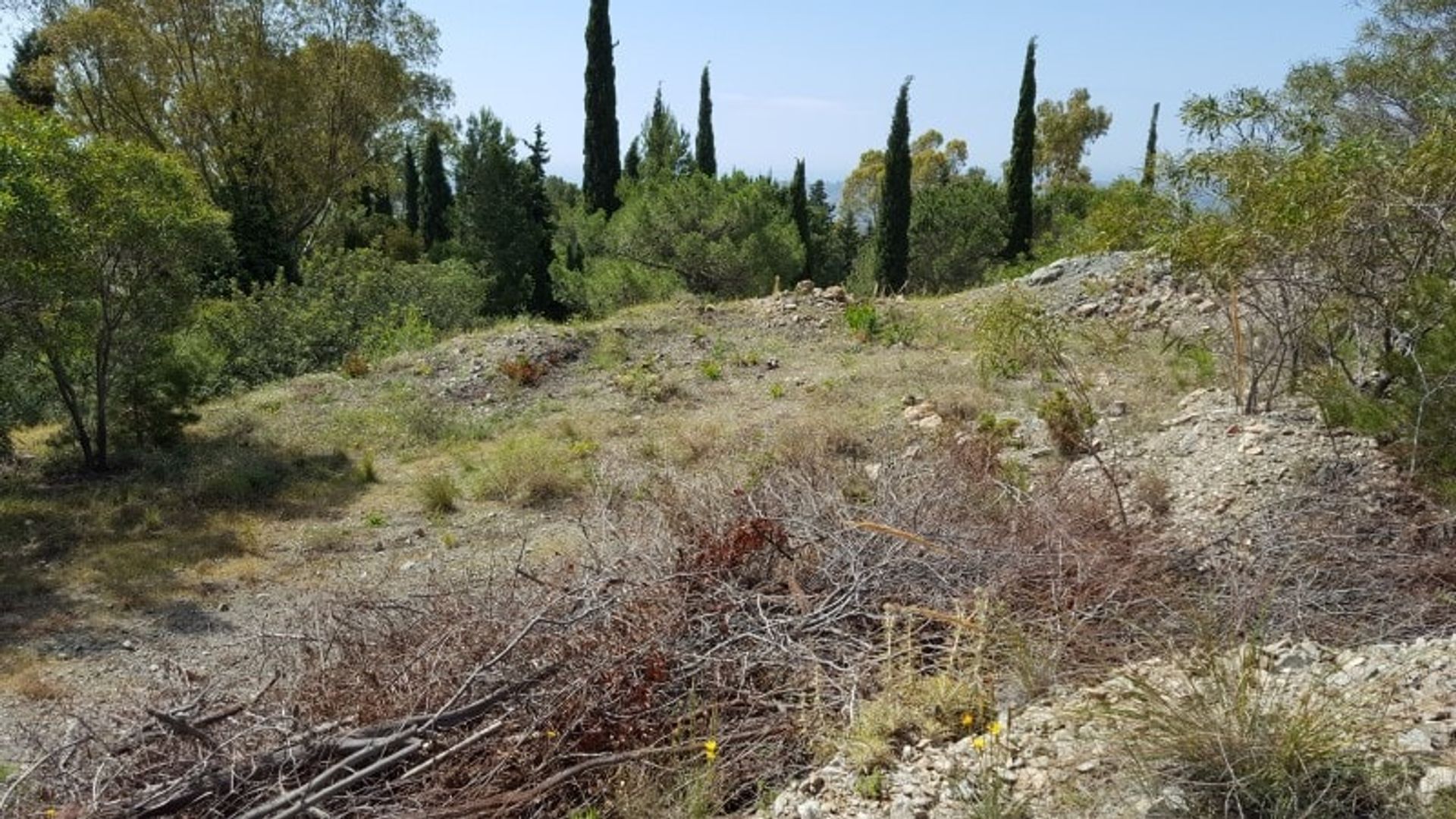 Land in Alhaurin el Grande, Andalusië 10738833