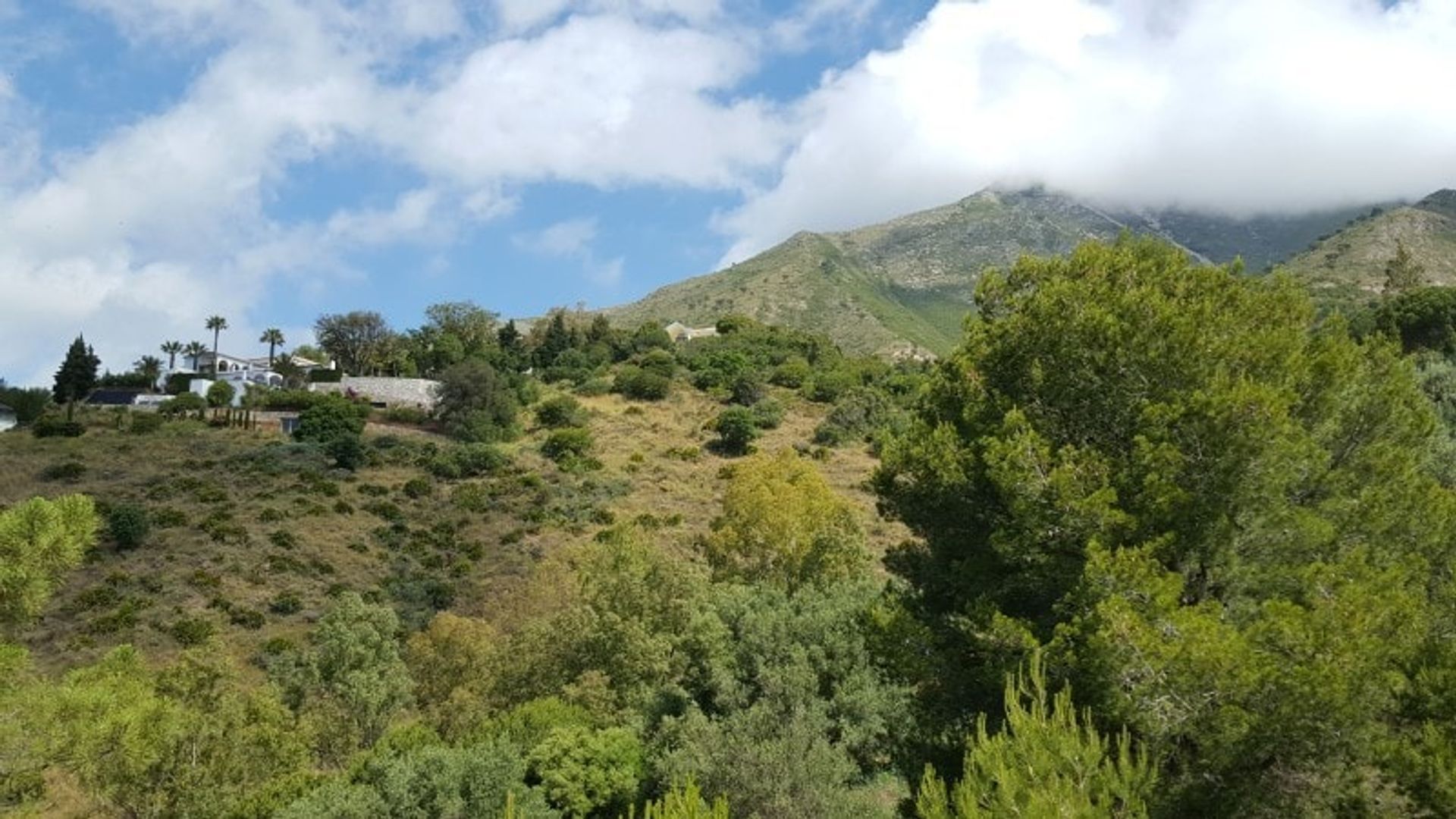 Land in Alhaurin el Grande, Andalusië 10738833