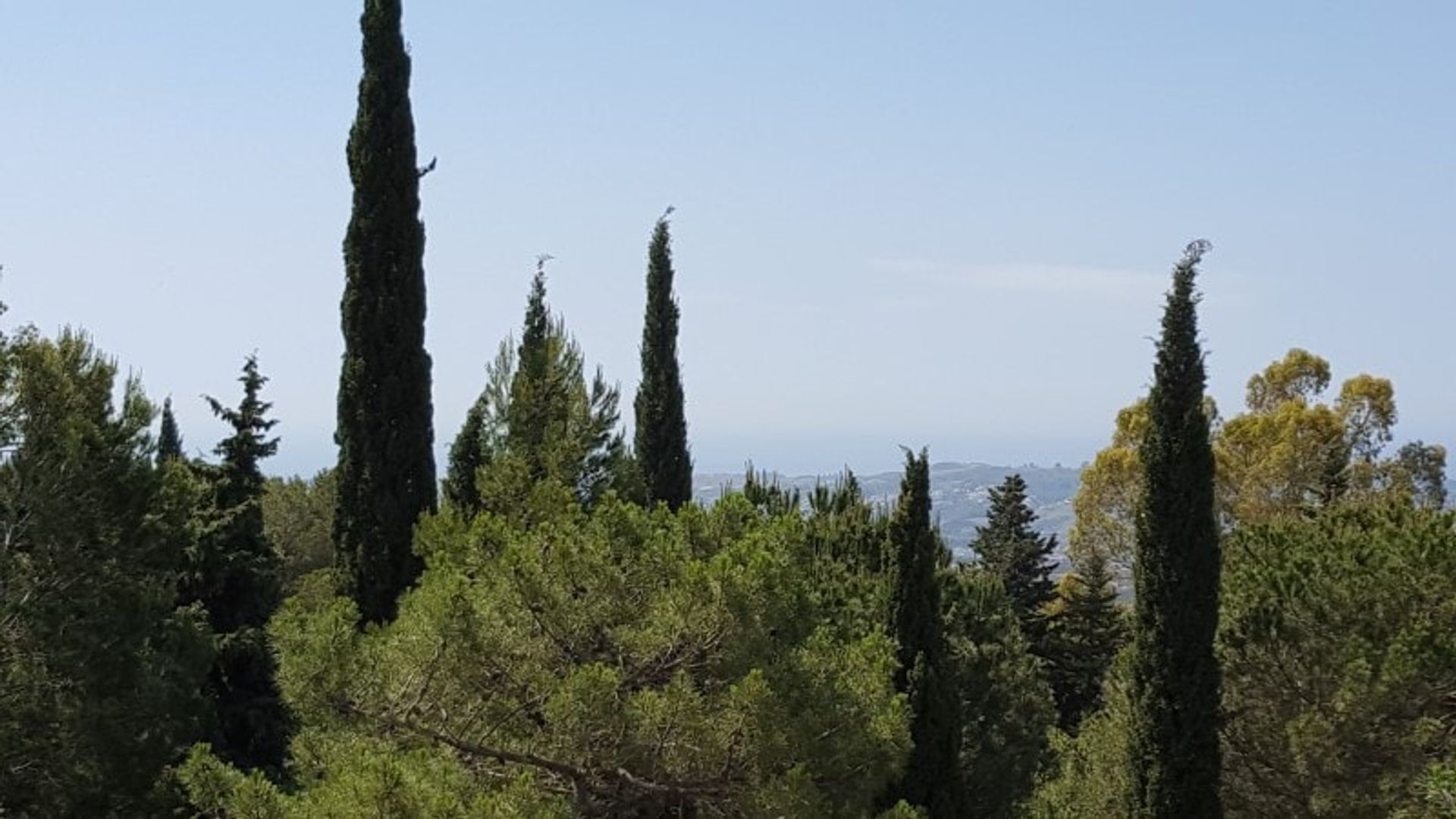 Land in Alhaurin el Grande, Andalusië 10738833