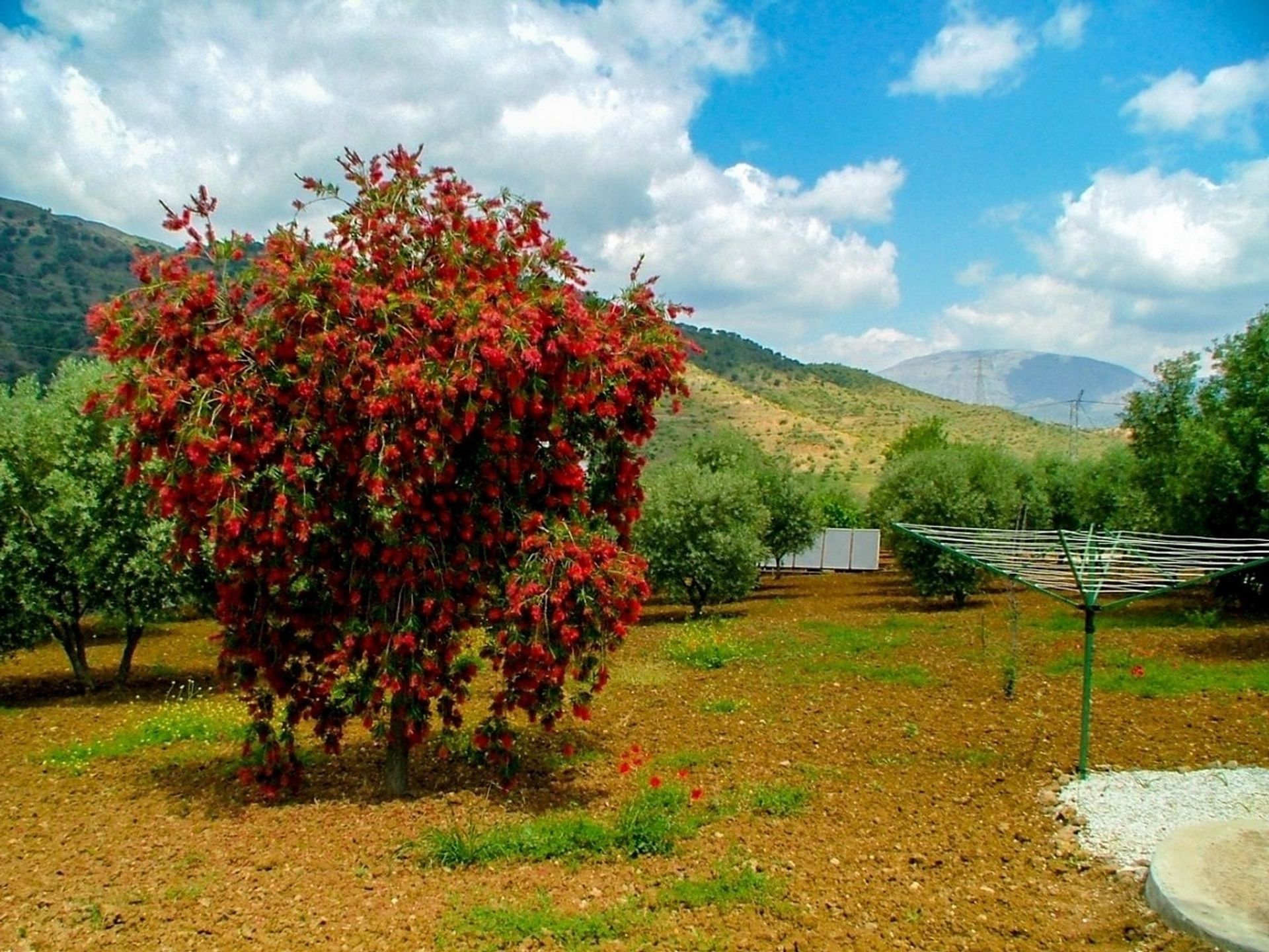 בַּיִת ב Álora, Andalucía 10738971