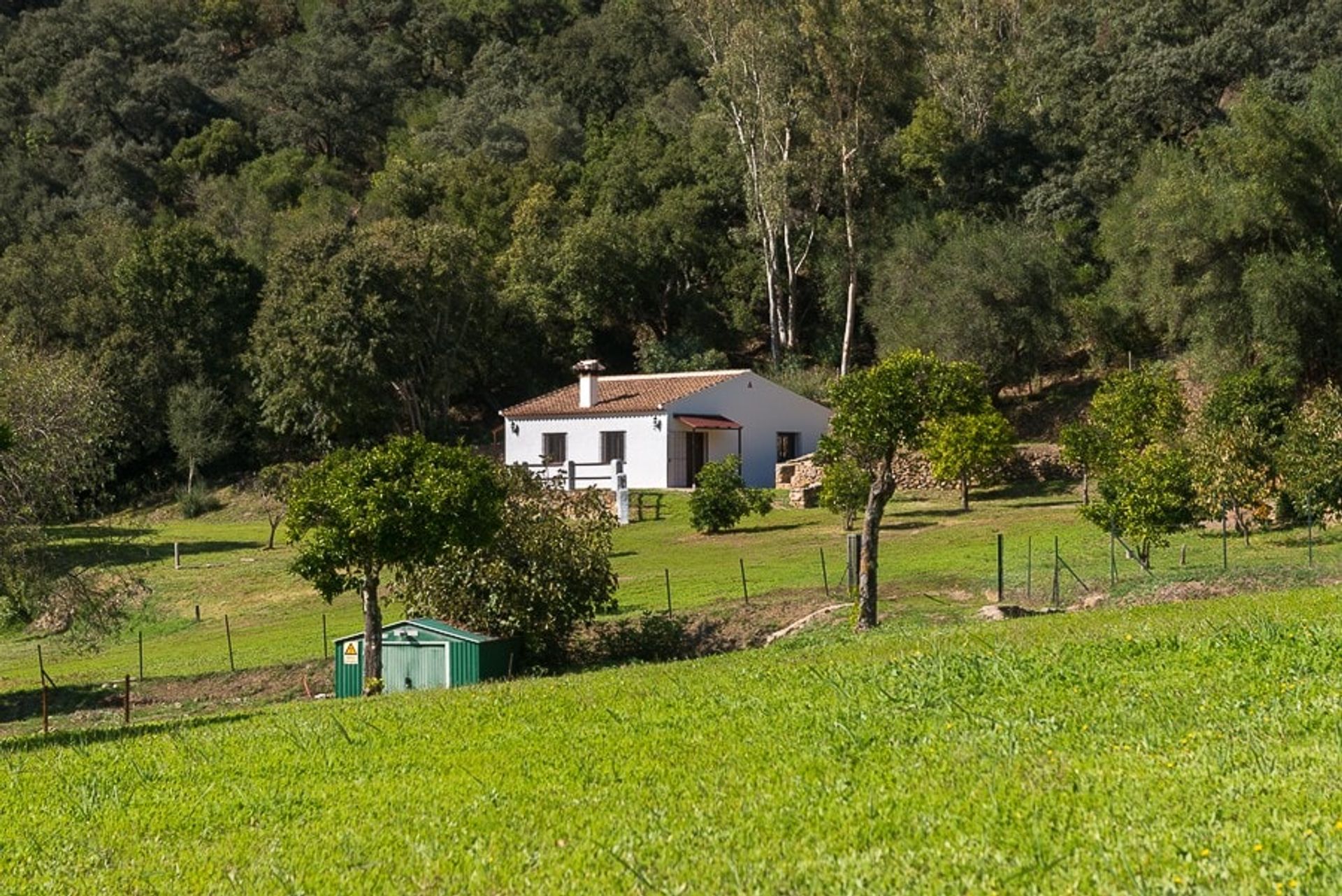 жилой дом в Ronda, Andalucía 10739062