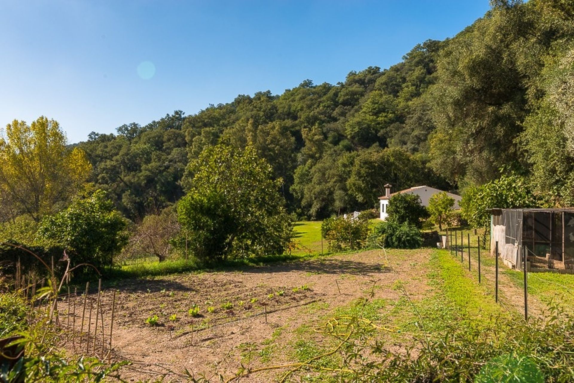 жилой дом в Ronda, Andalucía 10739062