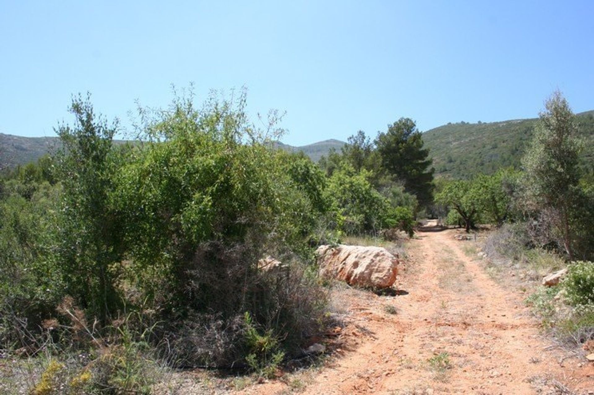 Terra no Llíber, Comunidad Valenciana 10739216