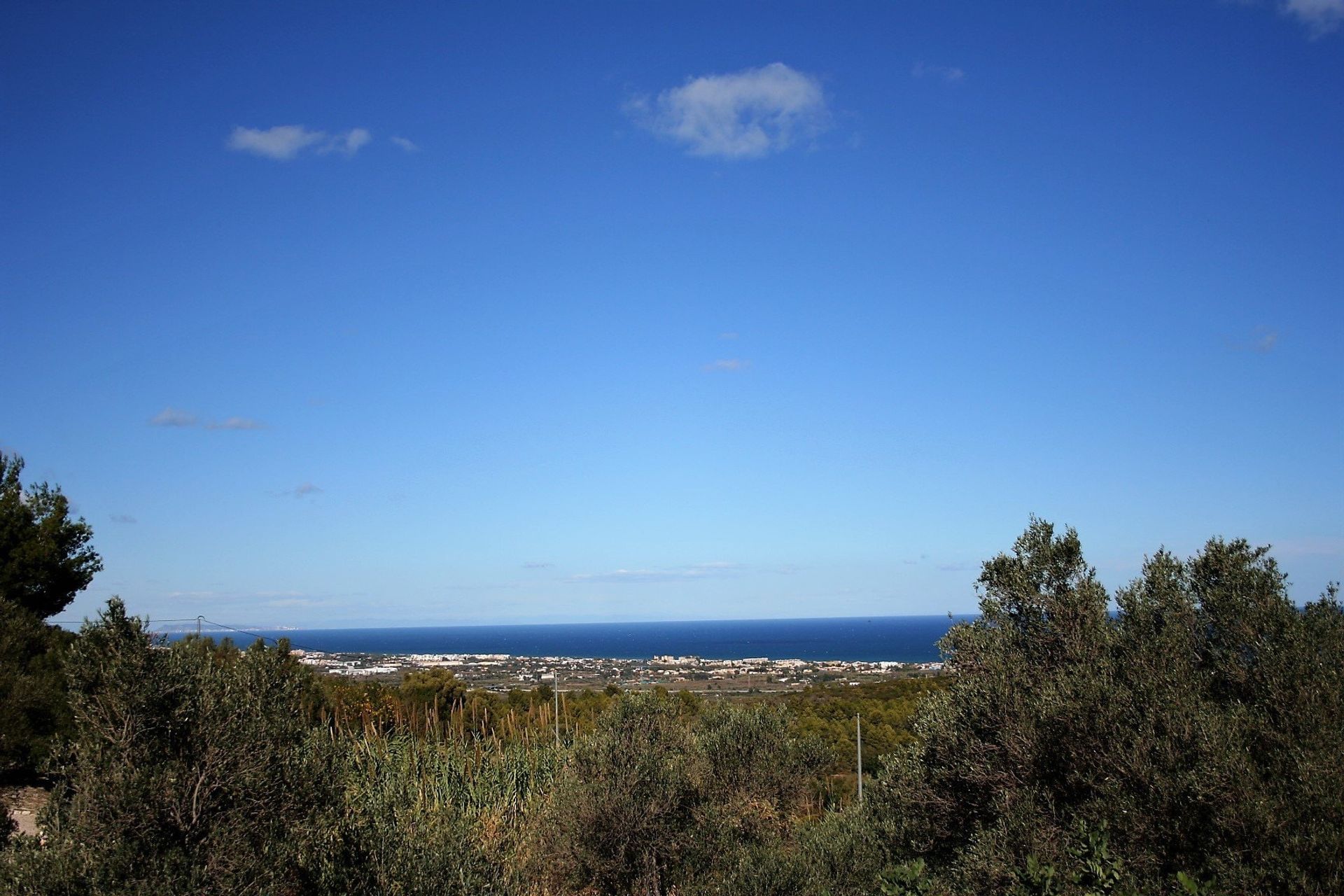 Land i Ráfol de Almunia, Comunidad Valenciana 10739253