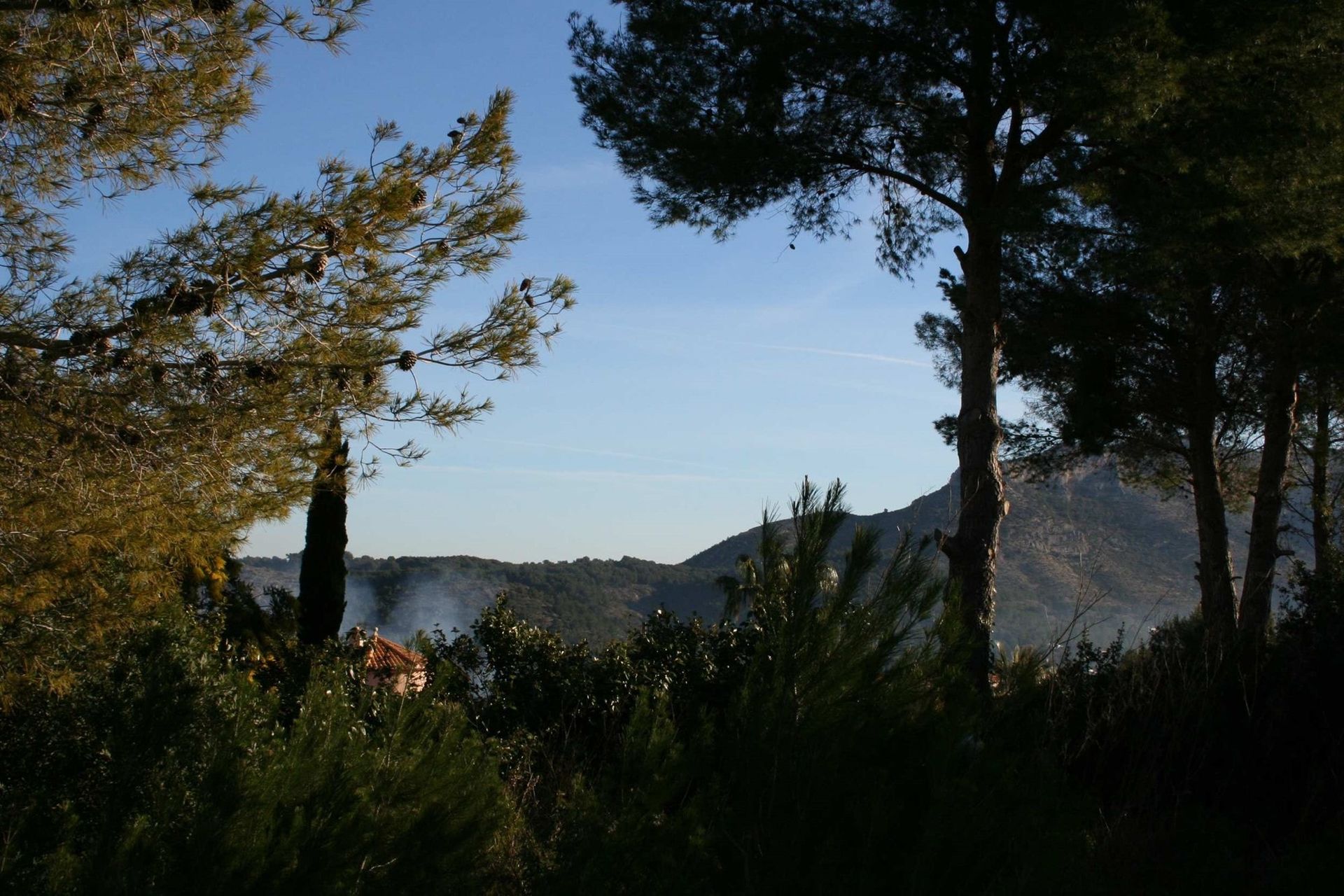 Land in Dénia, Comunidad Valenciana 10739266