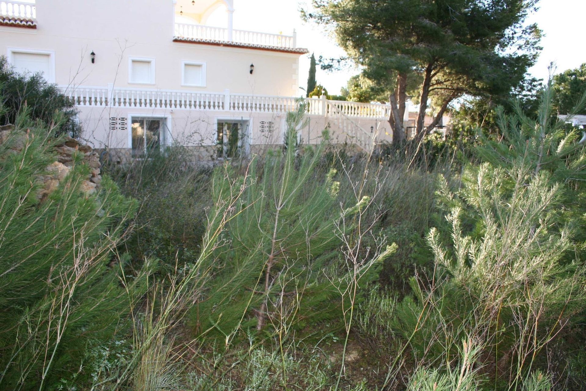 Land in Denia, Valencia 10739266