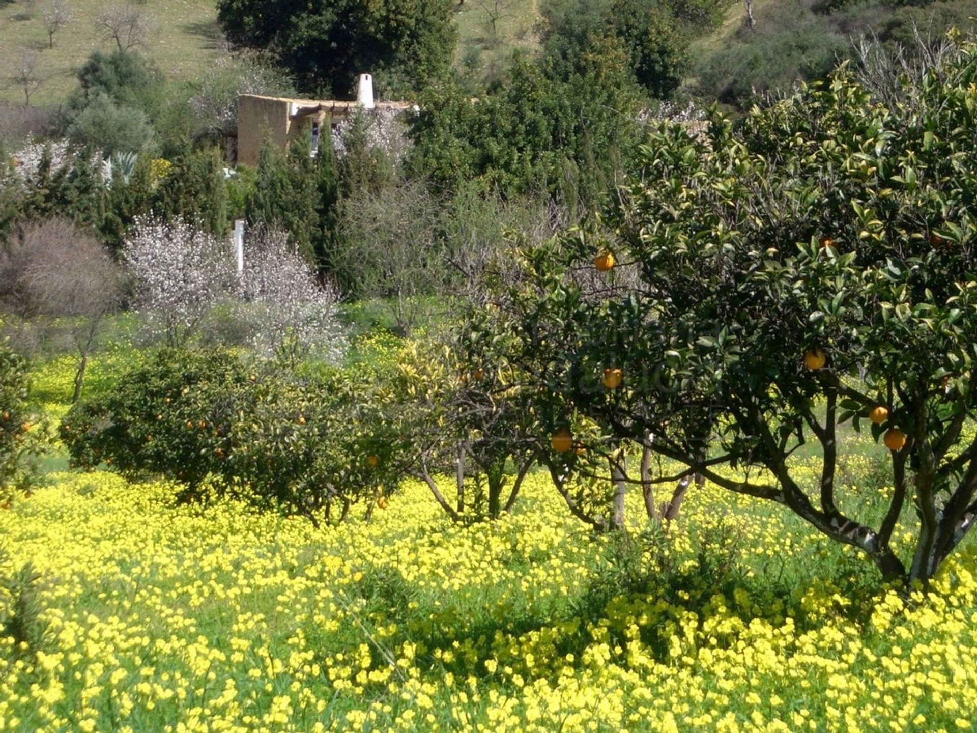 Hus i Gaucín, Andalucía 10739509