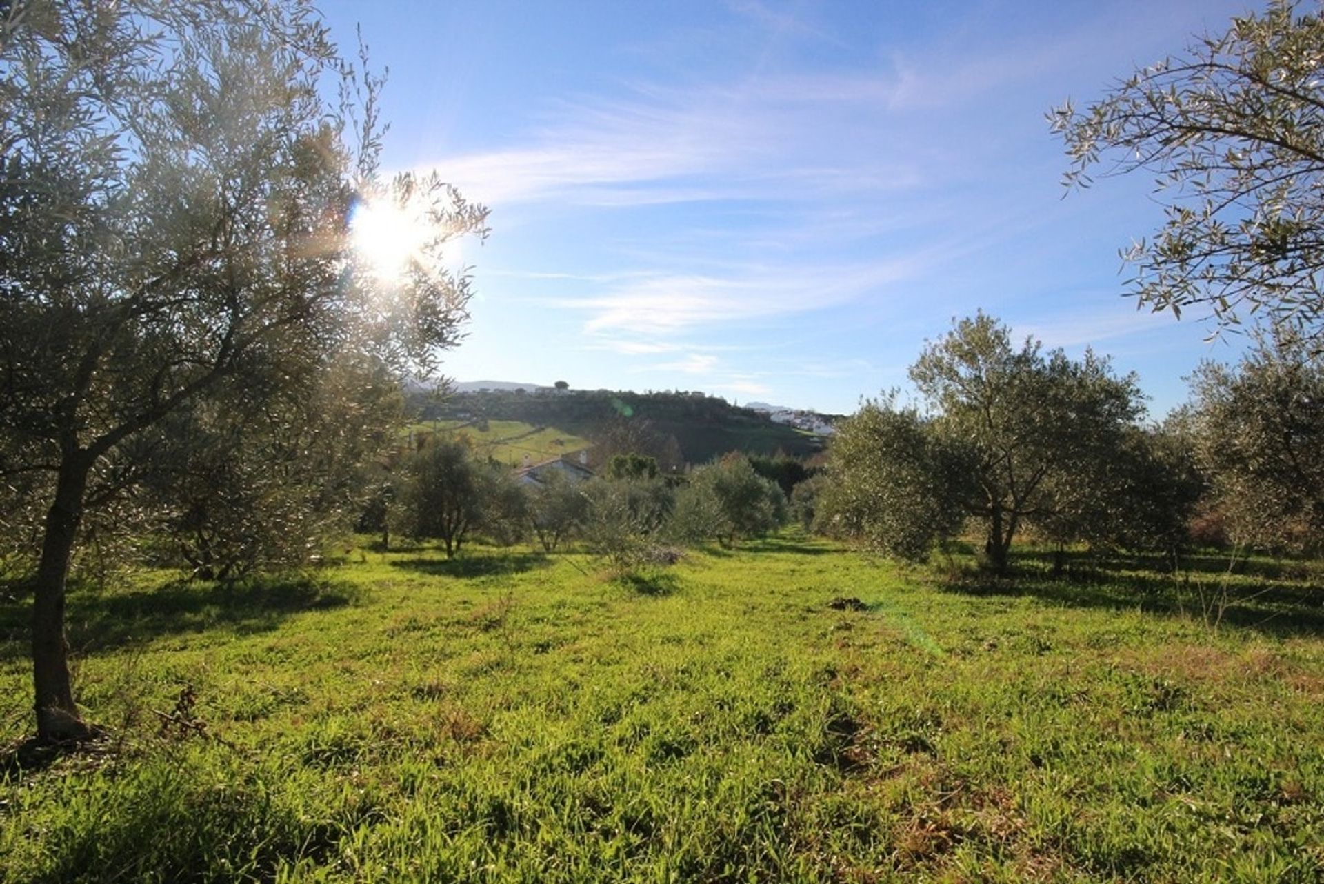 Dom w Ronda, Andalucía 10739519