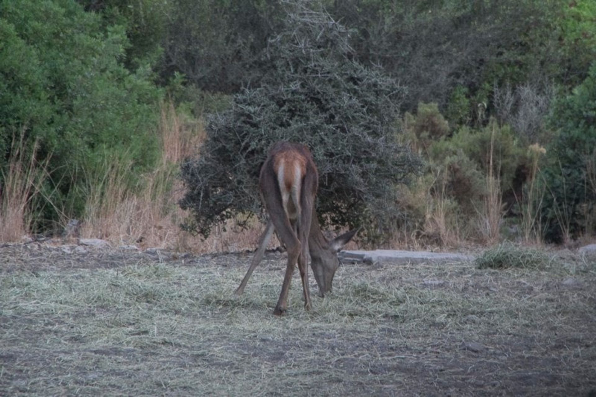 Talo sisään Los Barrios, Andalusia 10739533