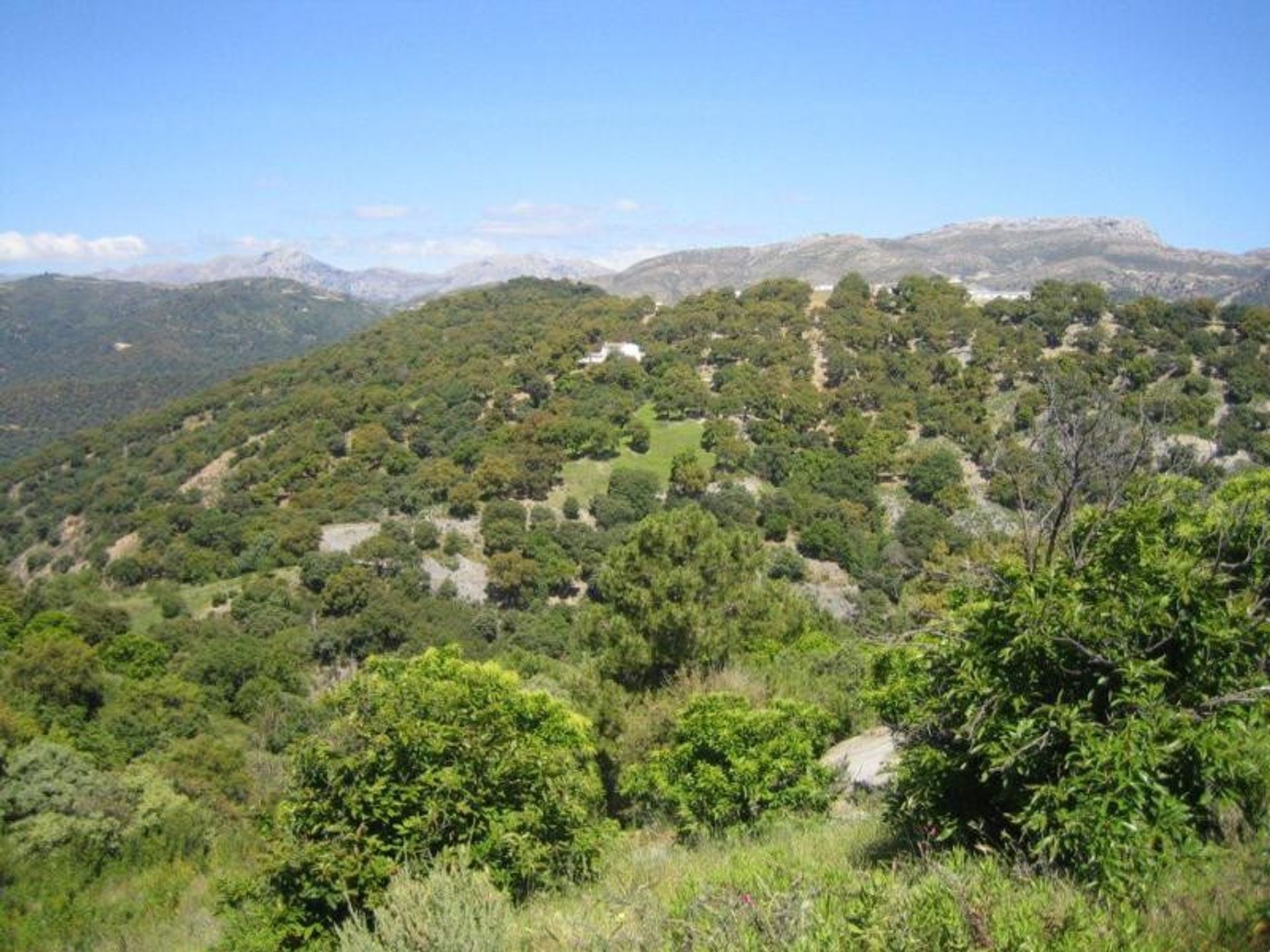 Terre dans Ronda, Andalucía 10739546