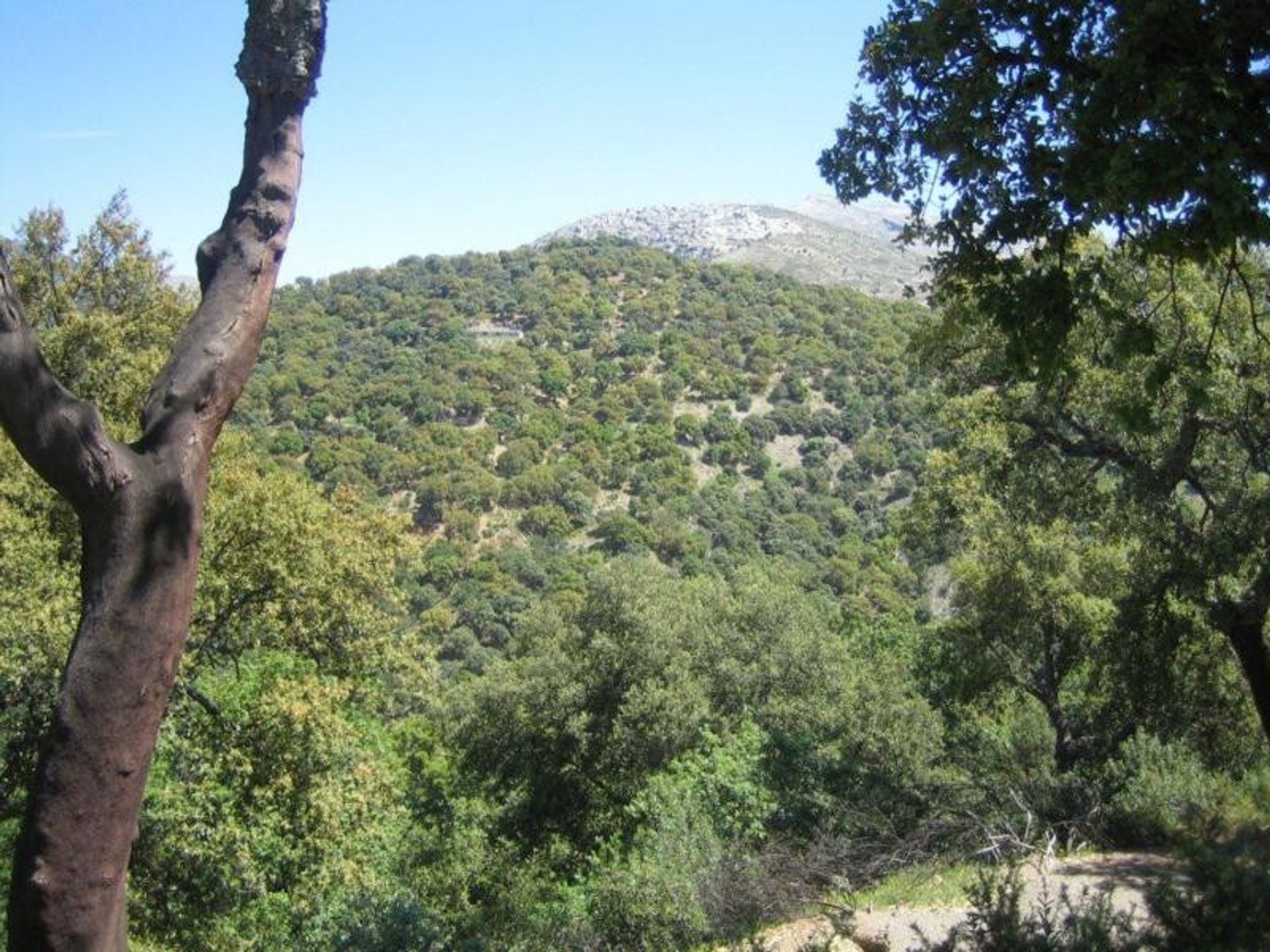 Tanah di Ronda, Andalucía 10739546