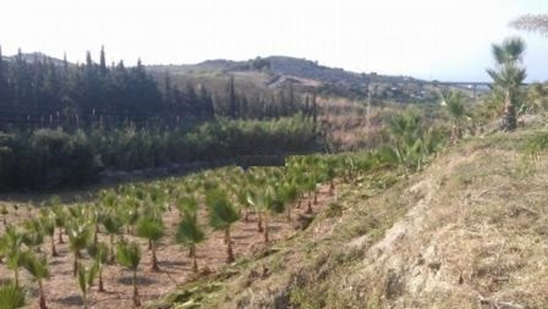 Tanah dalam Estepona, Andalucía 10739595