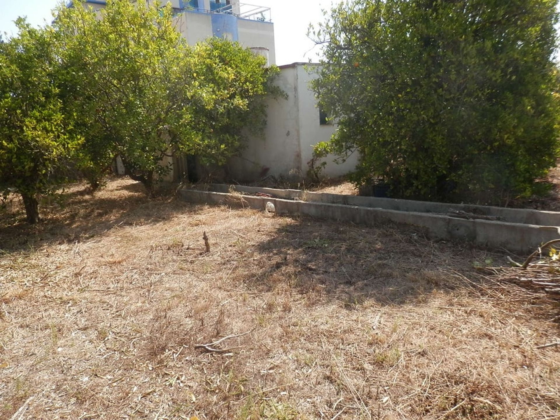 House in La Font d'en Carròs, Comunidad Valenciana 10739636