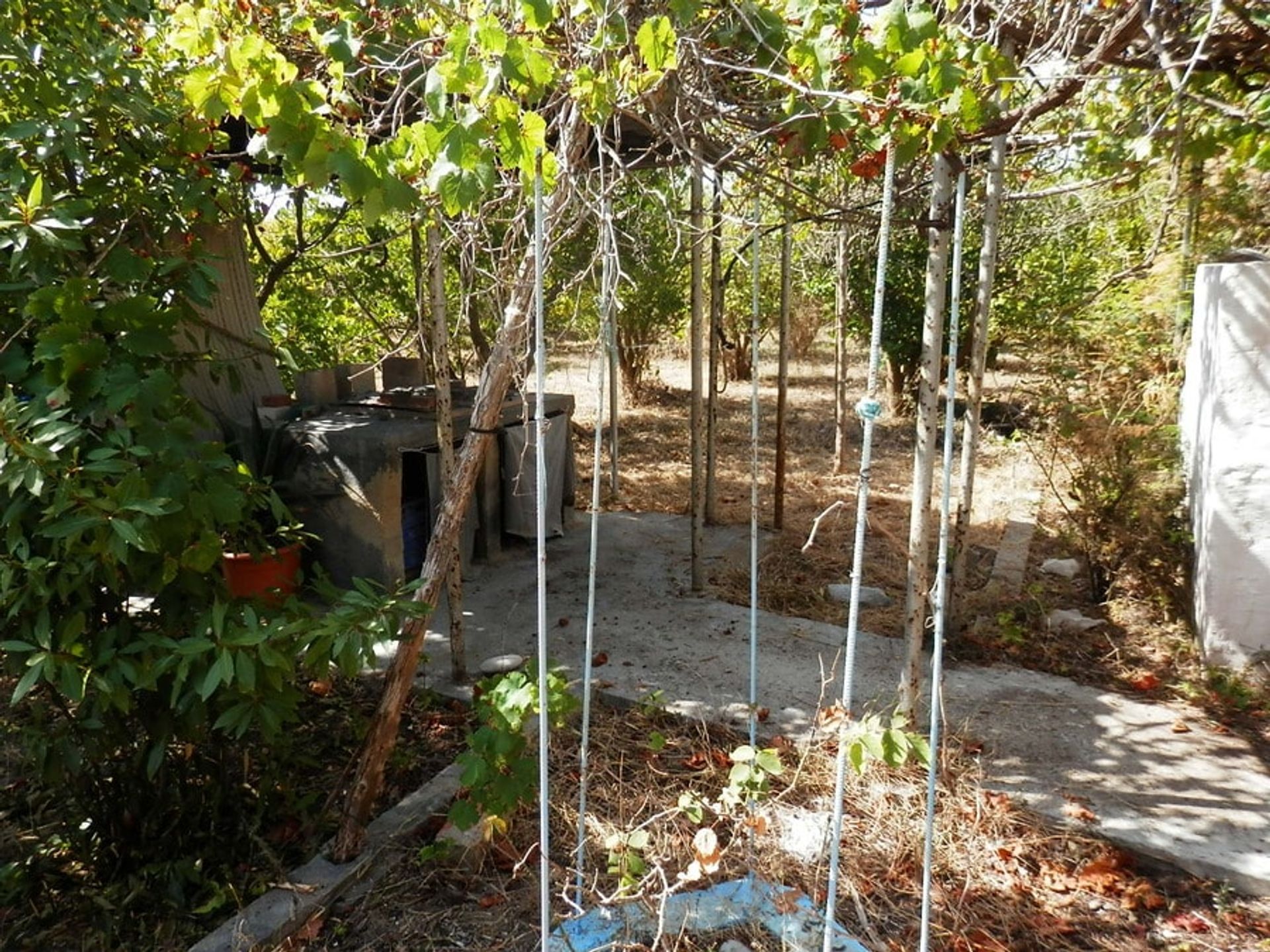 casa no La Font d'en Carròs, Comunidad Valenciana 10739636