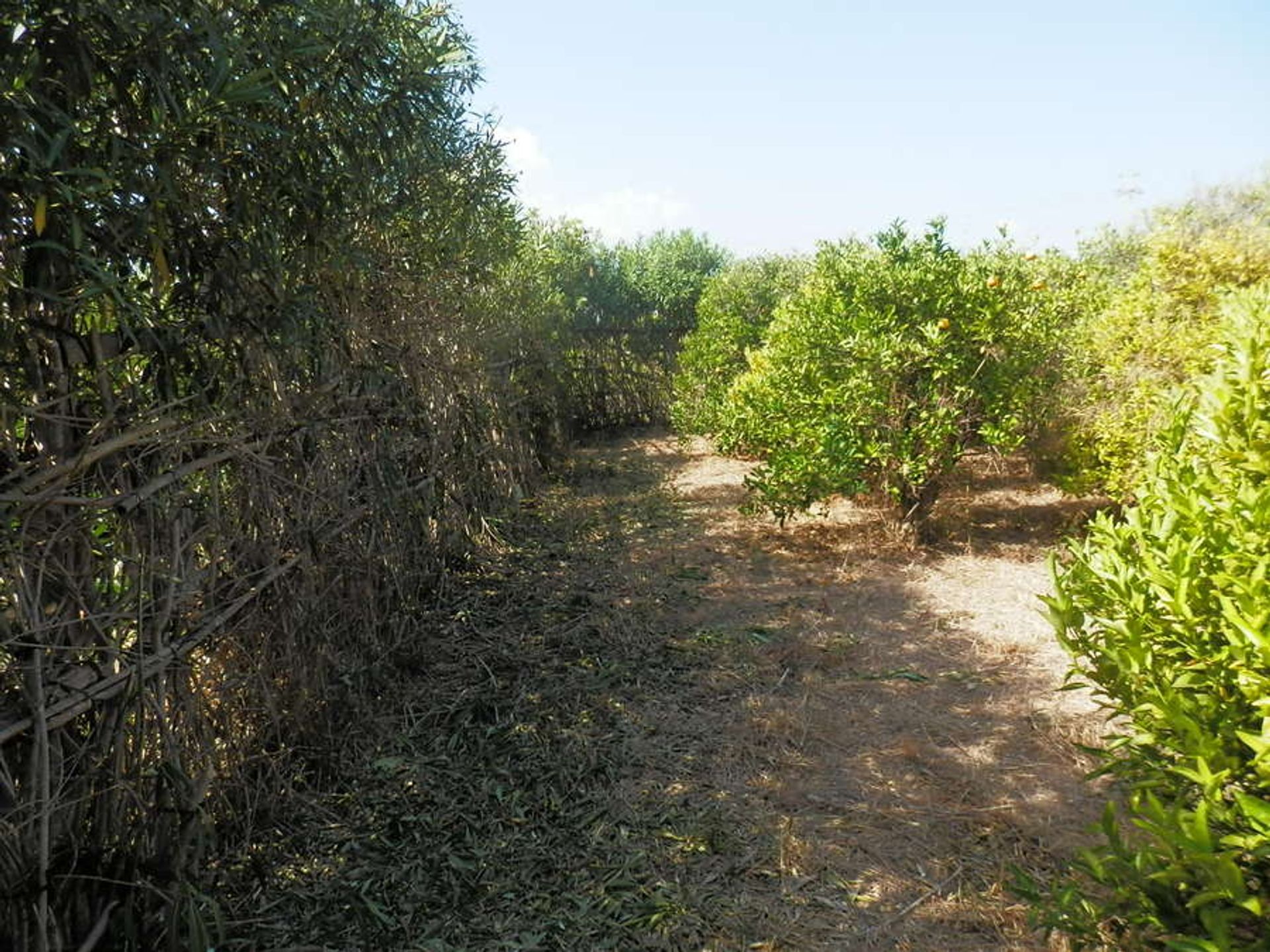 casa no La Font d'en Carròs, Comunidad Valenciana 10739636