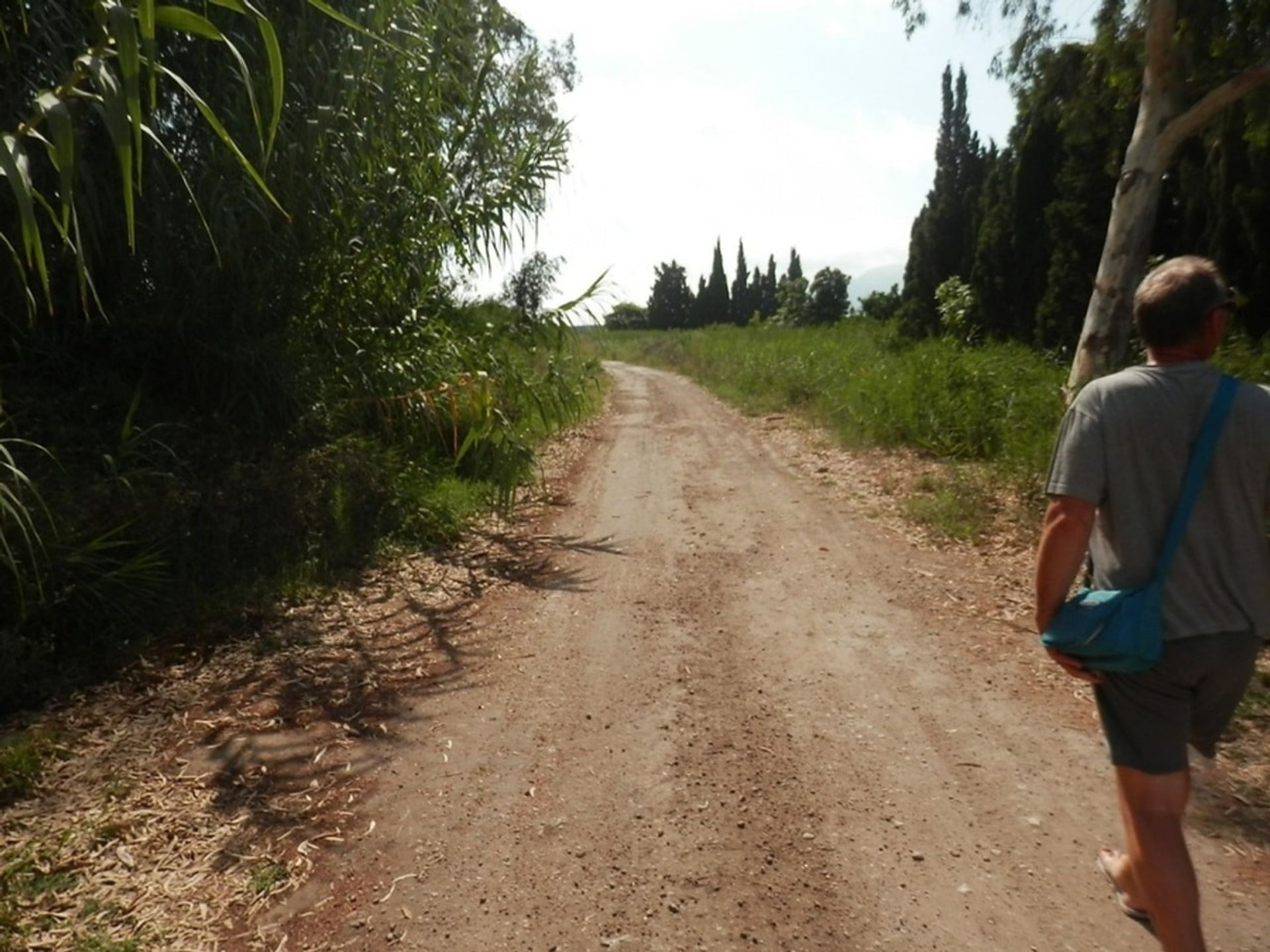 Terra no Tormos, Valência 10739637