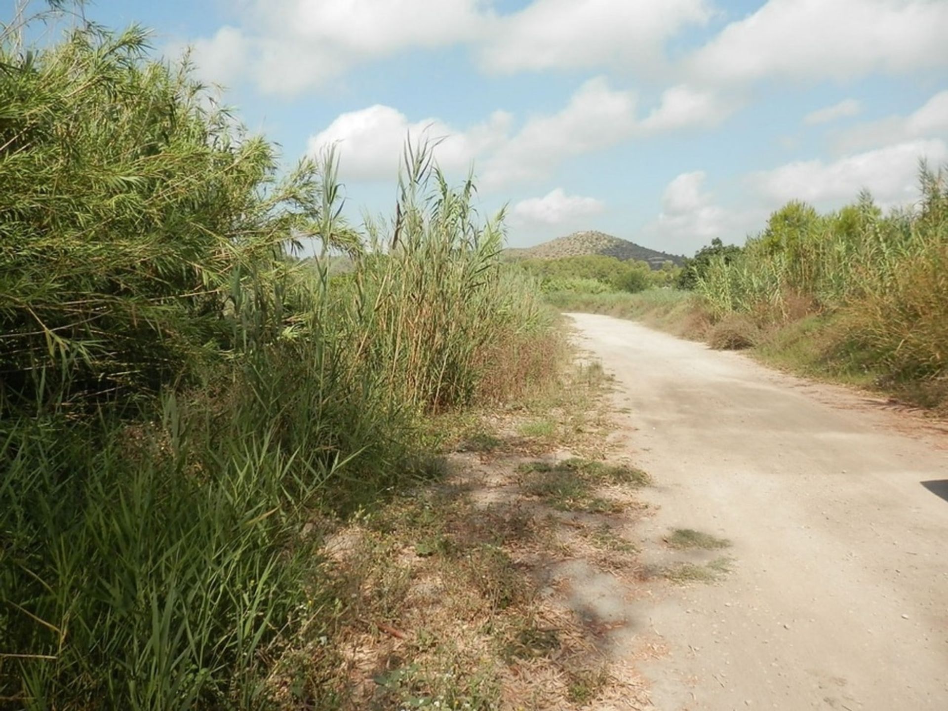 Terra no Tormos, Valência 10739637