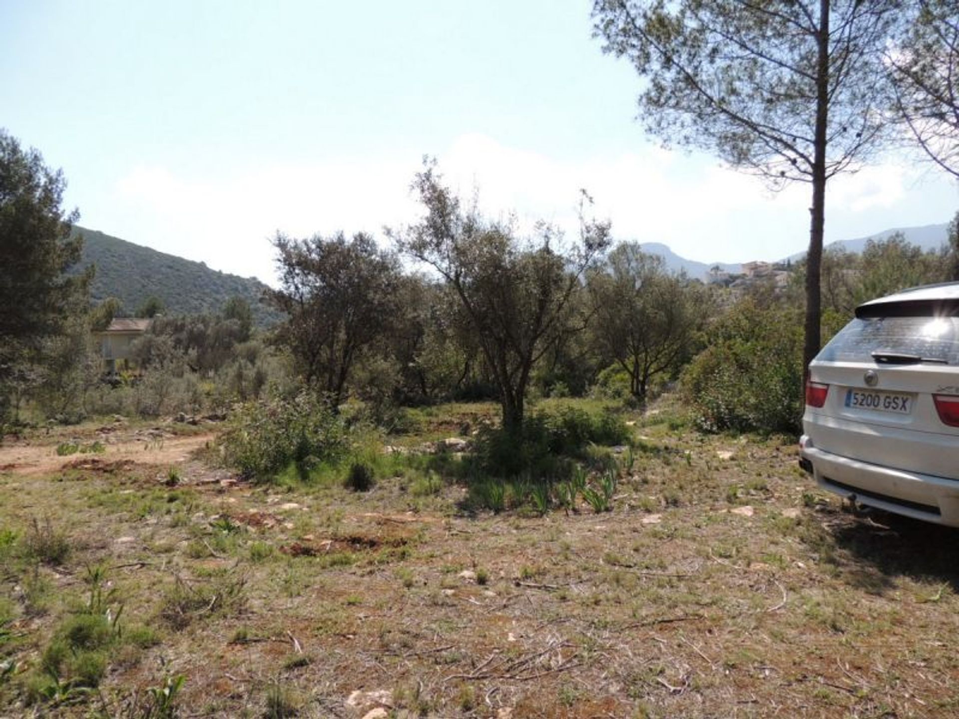 Terre dans Alcalalí, Comunidad Valenciana 10739656