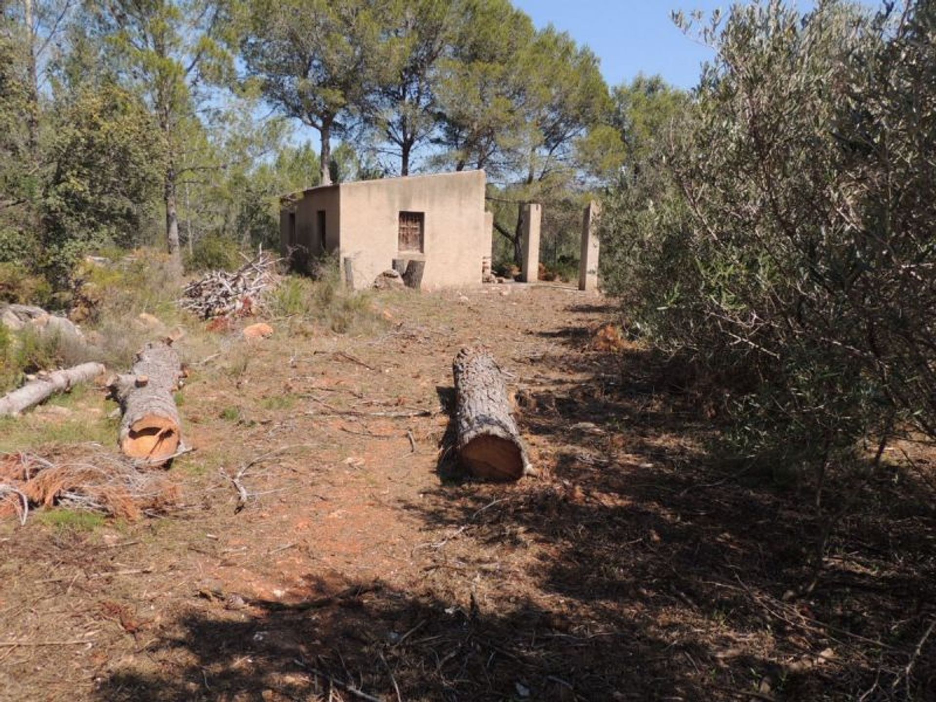 Terre dans Alcalalí, Comunidad Valenciana 10739656