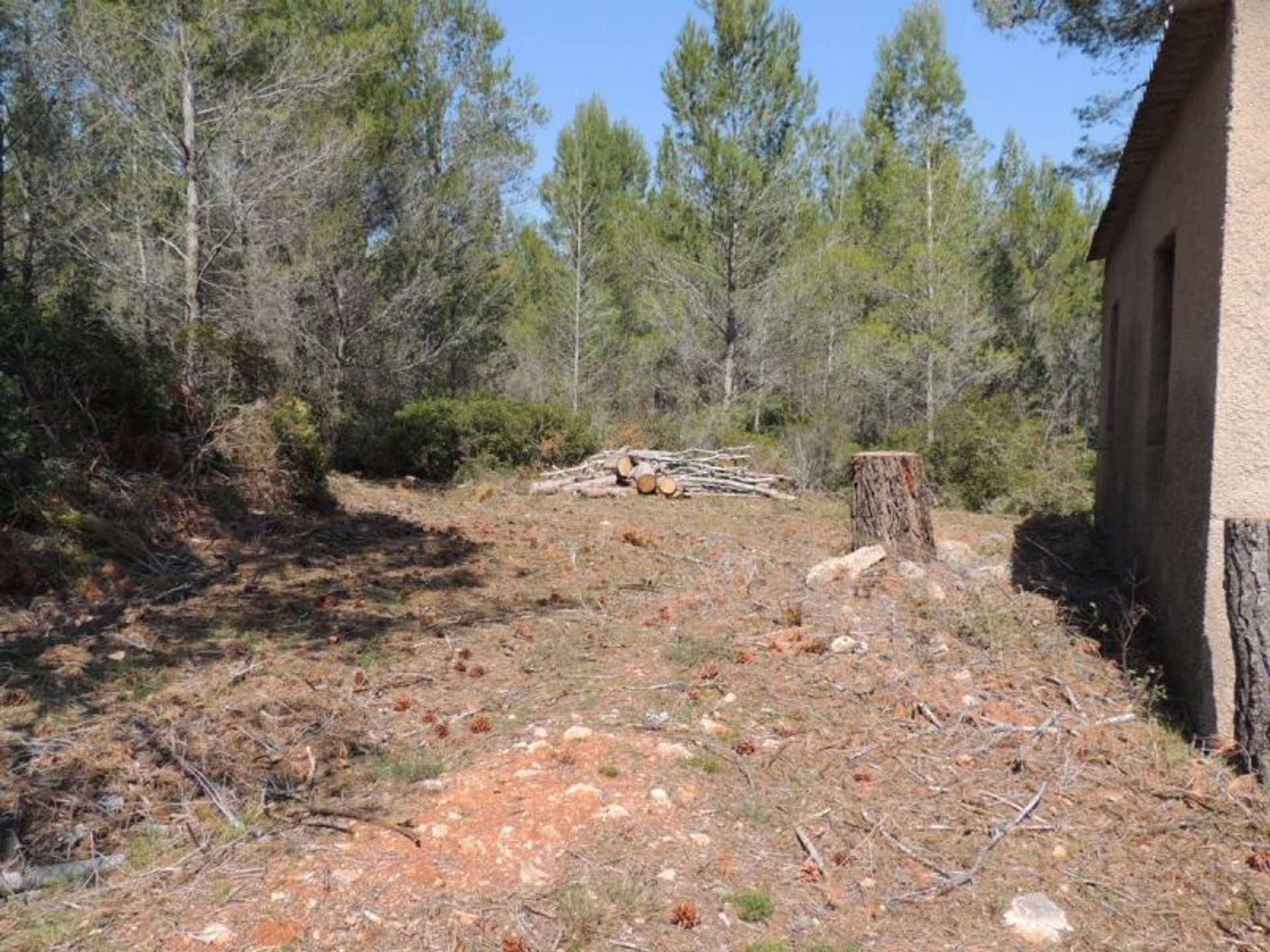 Land im Alcalalí, Comunidad Valenciana 10739656