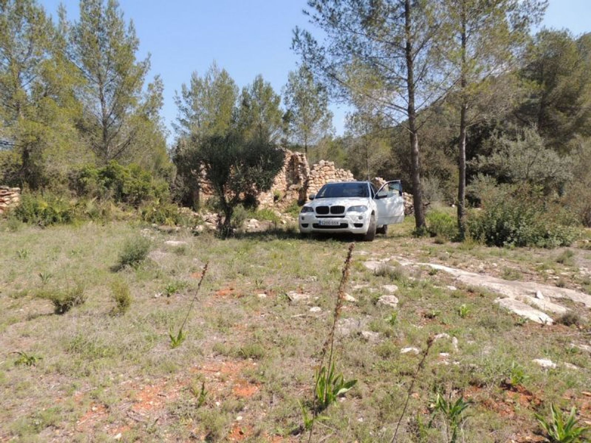 Terra no Lliber, Valência 10739668