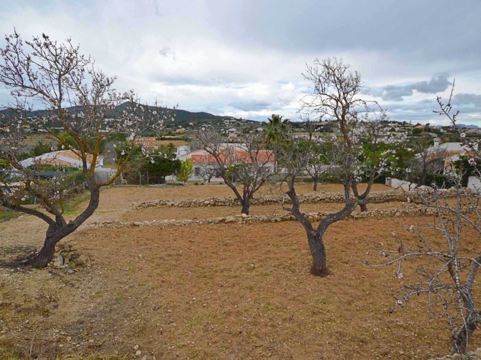 Terra no Jávea, Valência 10739811