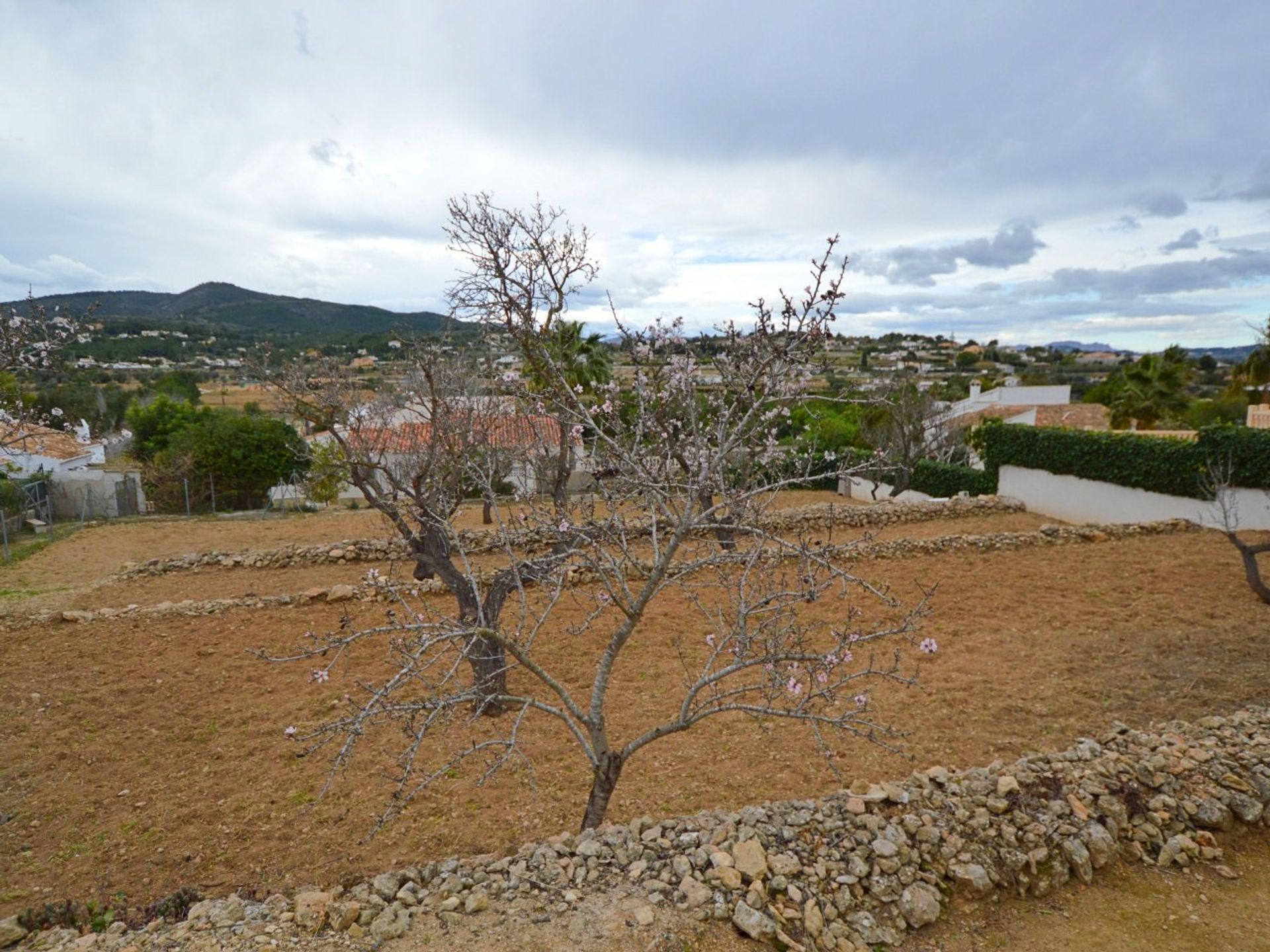 Terra no Jávea, Valência 10739811