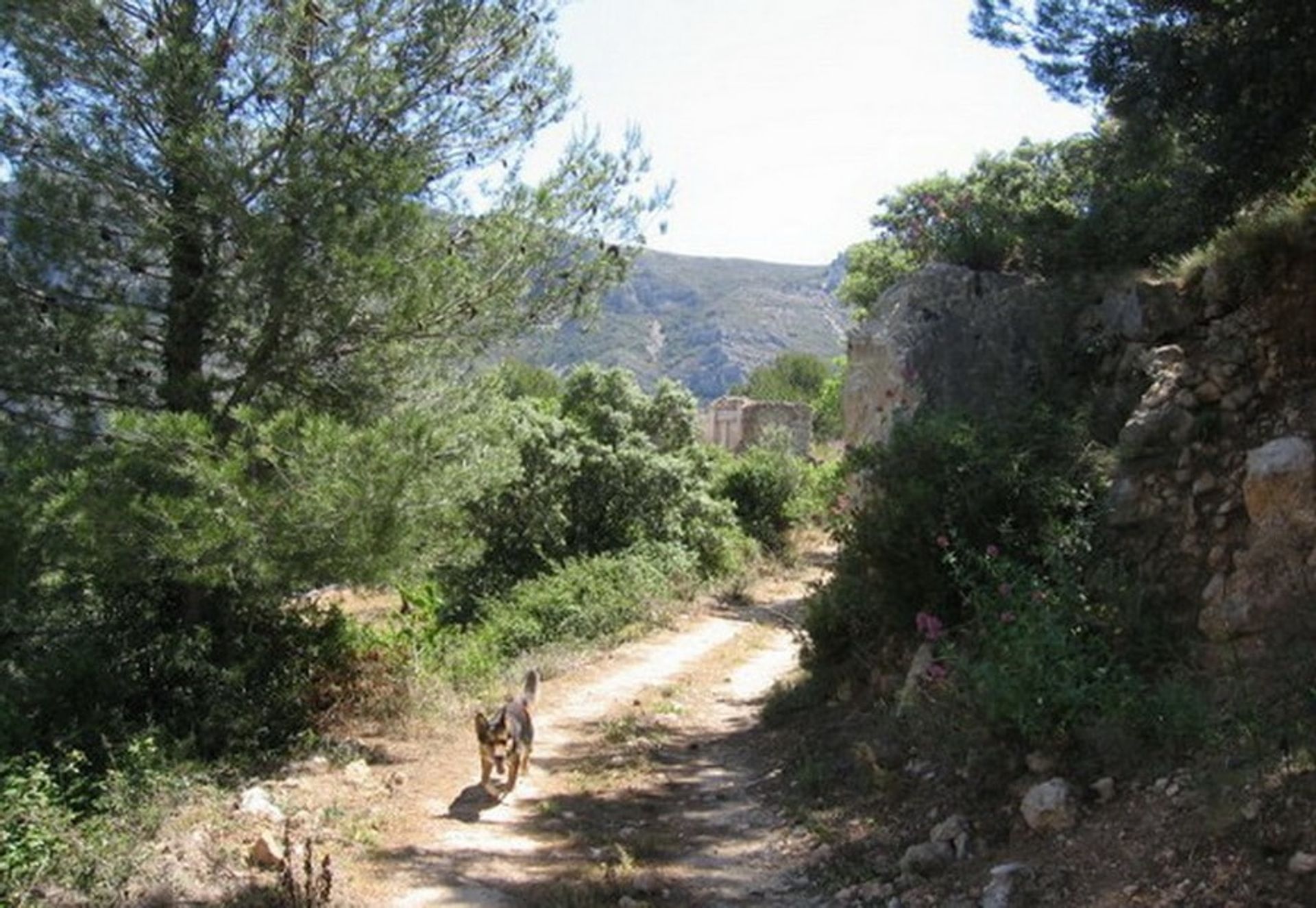 Hus i Tàrbena, Comunidad Valenciana 10739934