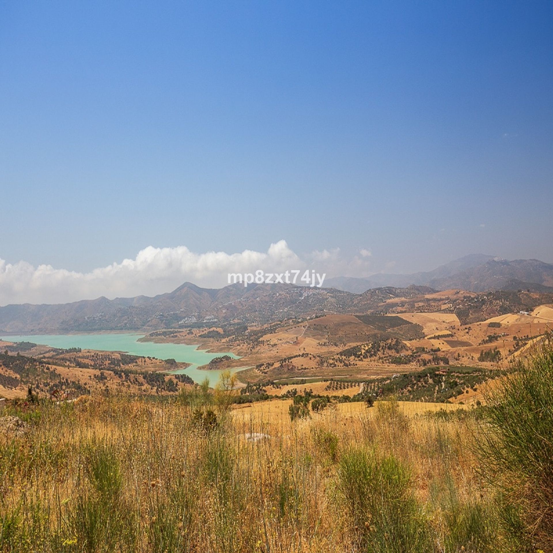 σπίτι σε Alcaucín, Andalucía 10740038