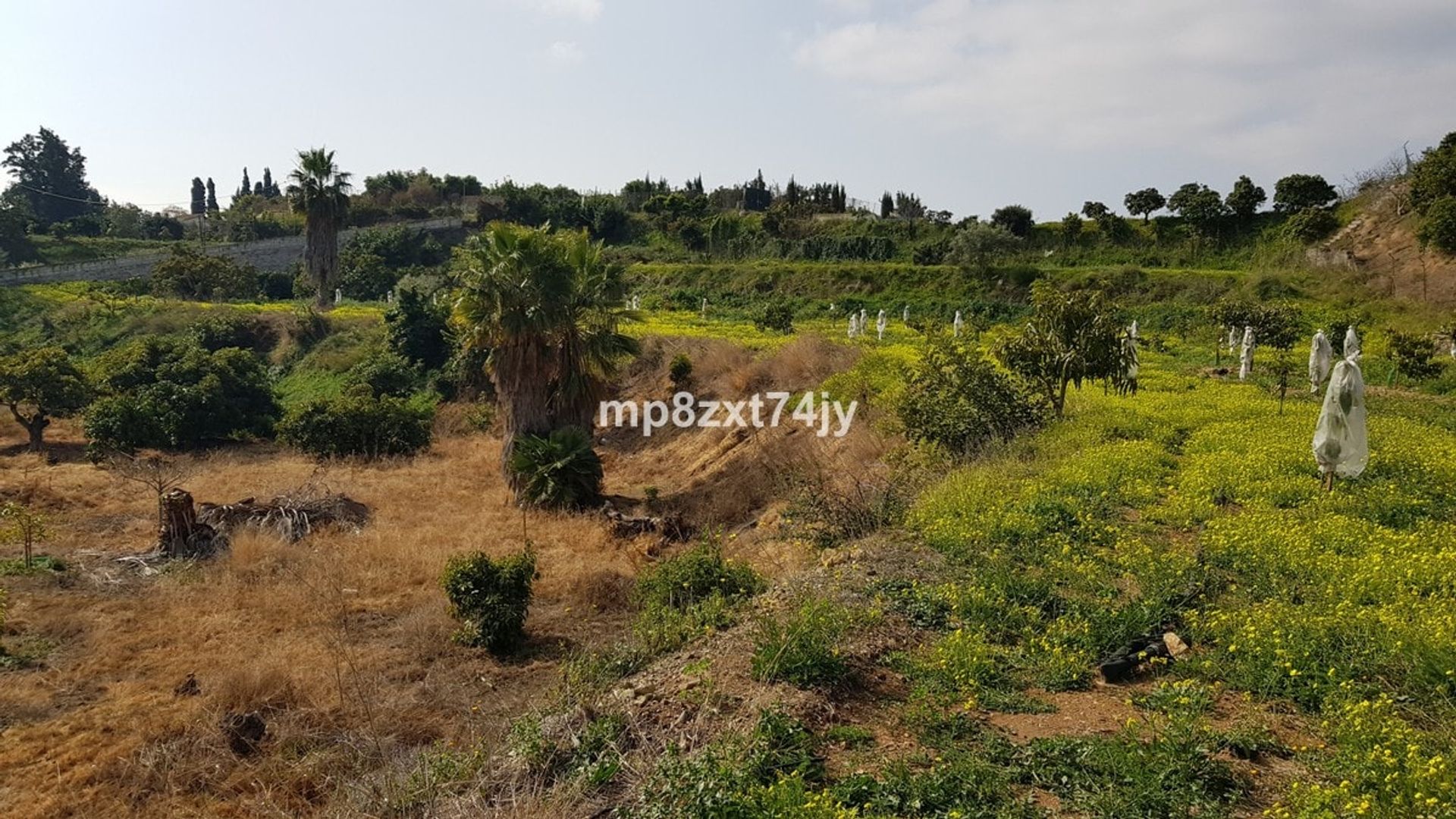 Maa sisään Huertas Bajas, Andalusia 10740050