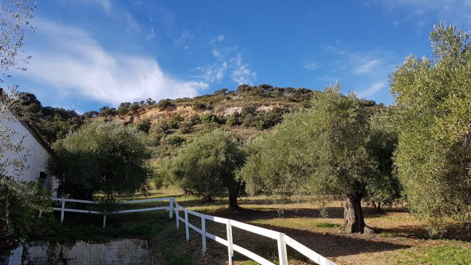 Hus i Ronda, Andalucía 10740347