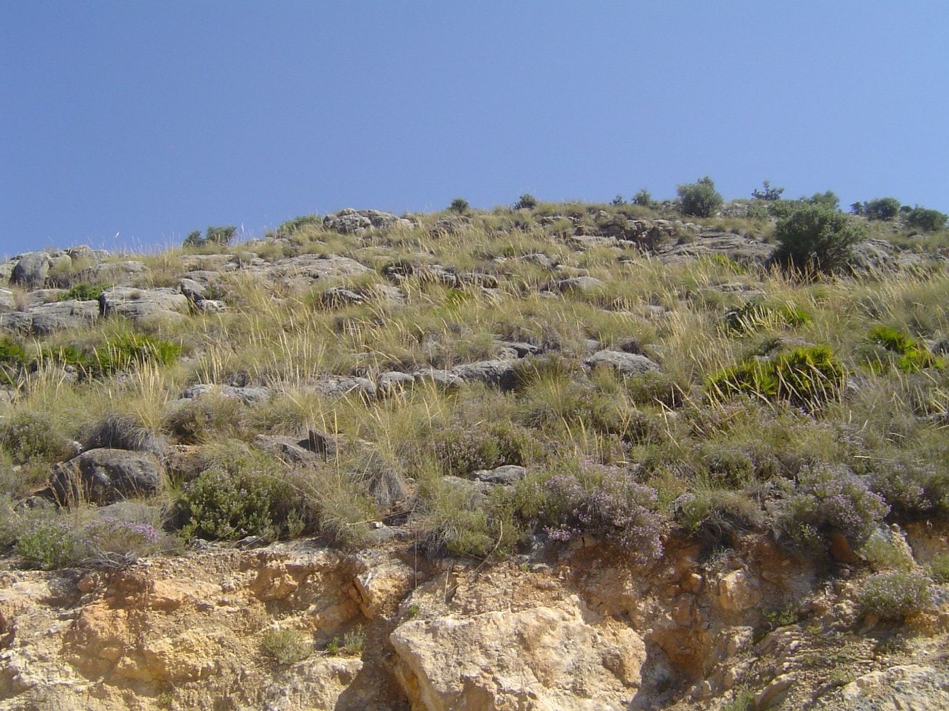 Land in Munt, Andalusië 10740472