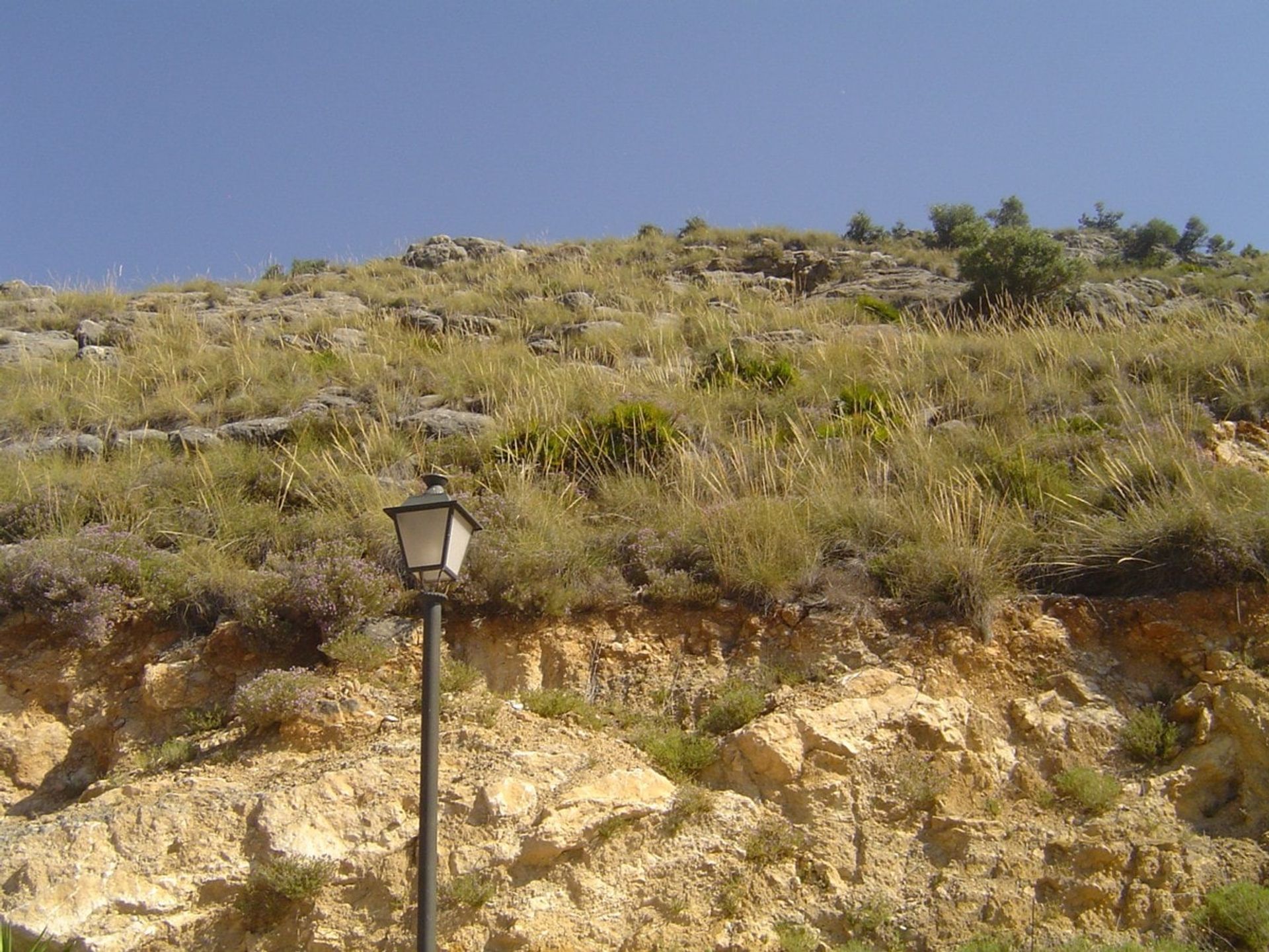 Land in Munt, Andalusië 10740472