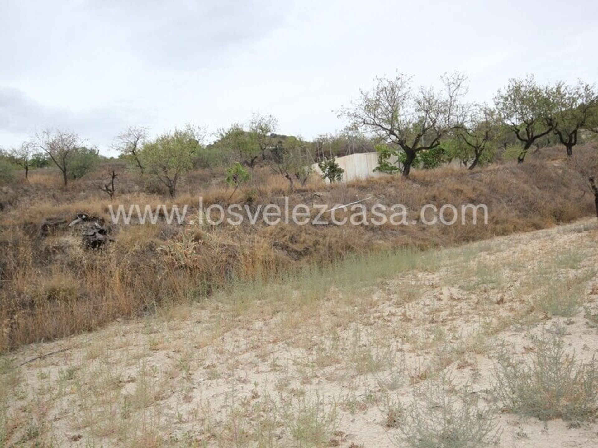 casa en Vélez Rubio, Andalucía 10740737