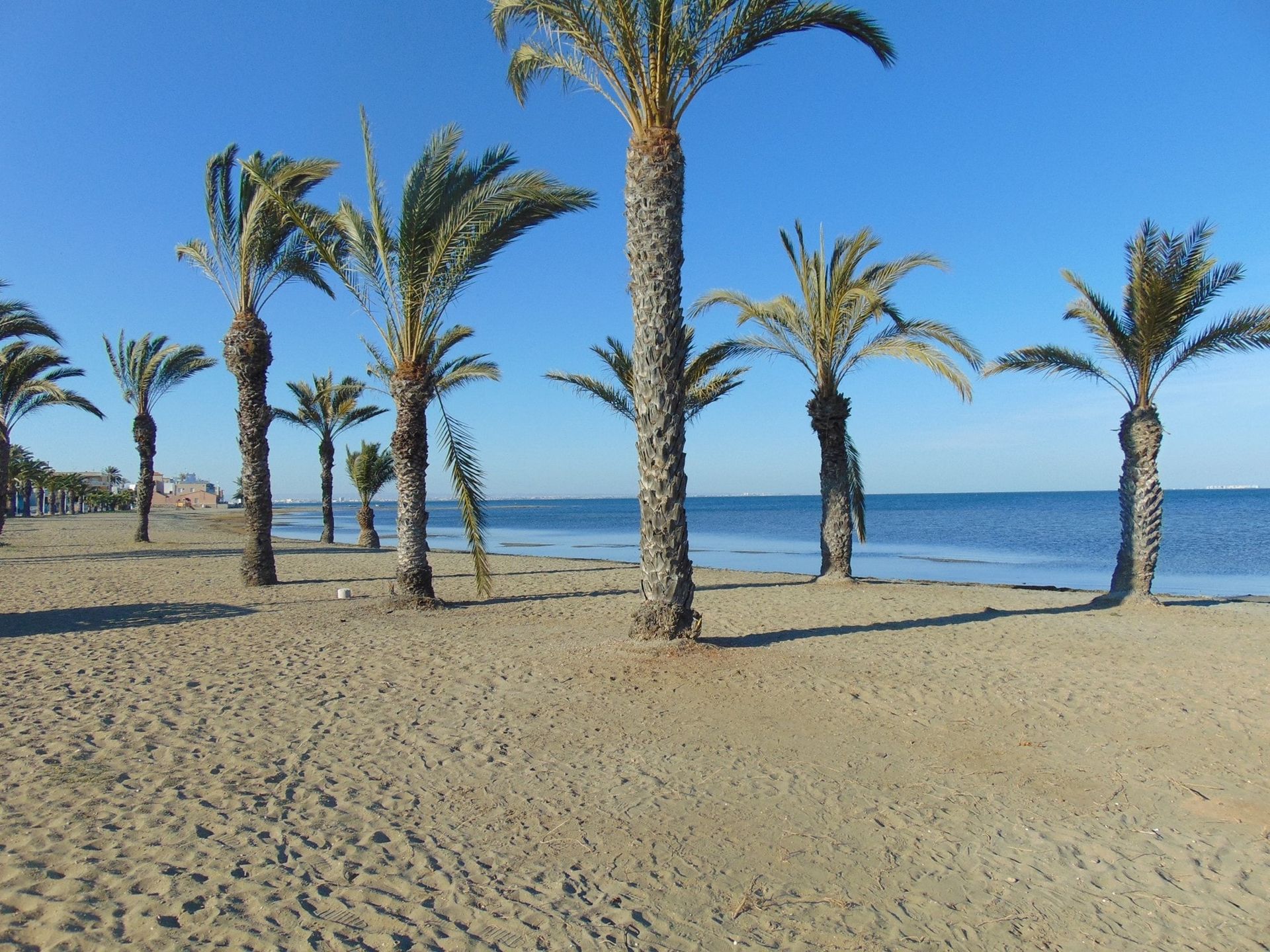 Rumah di San Miguel de Salinas, Comunidad Valenciana 10740774