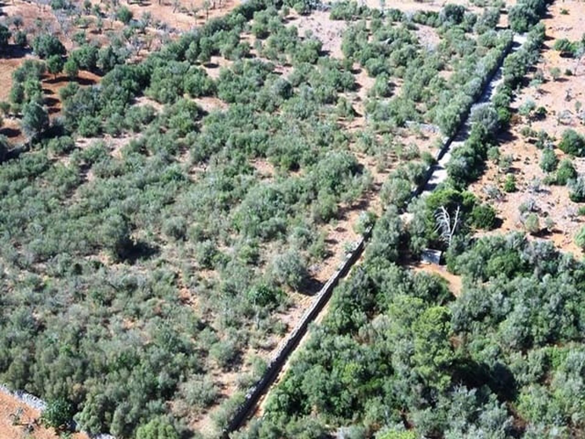 Maa sisään Santa Margalida, Balearic Islands 10740880